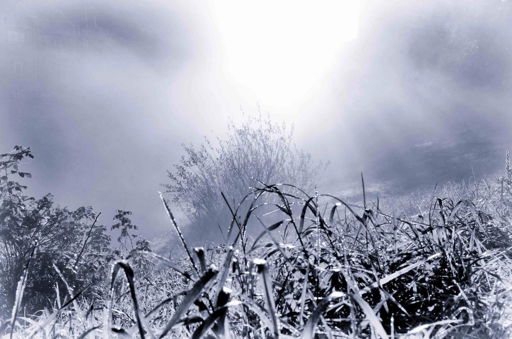 Елена Гонтаренко — художественный портрет. Фотограф в России, Семейный фотограф, репортажный фотограф, детский фотограф, портретный фотограф, контент фотограф, универсальный фотограф