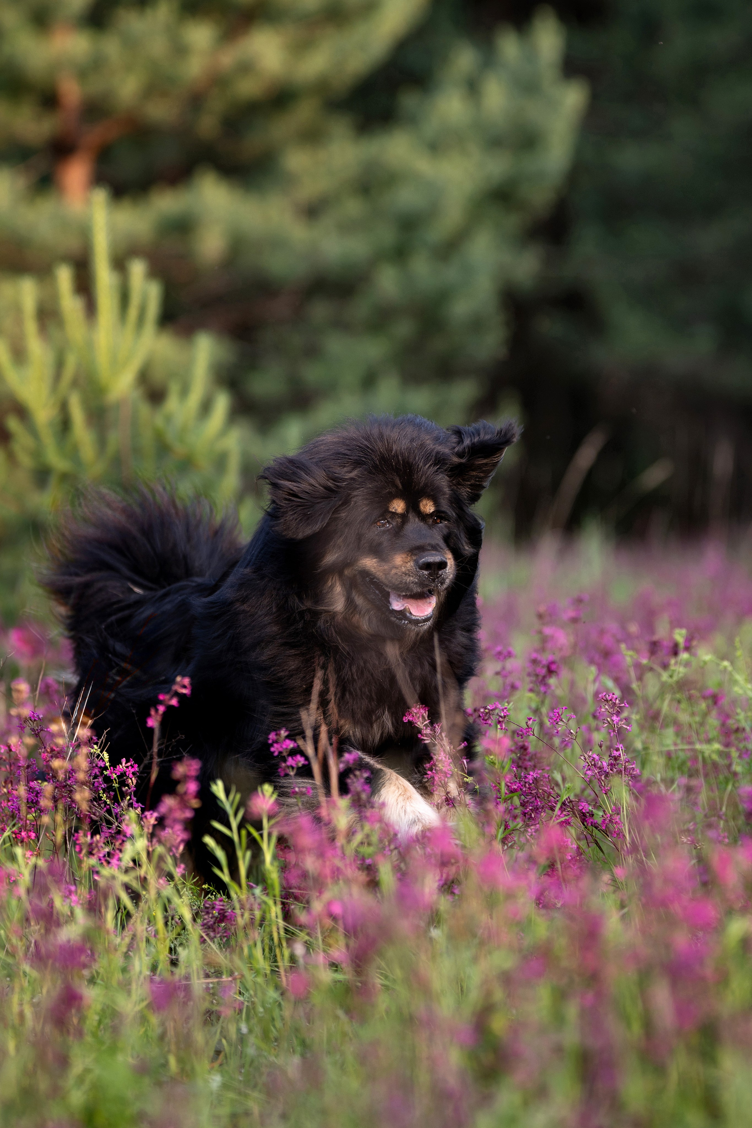 Мои Злата и Фред. -