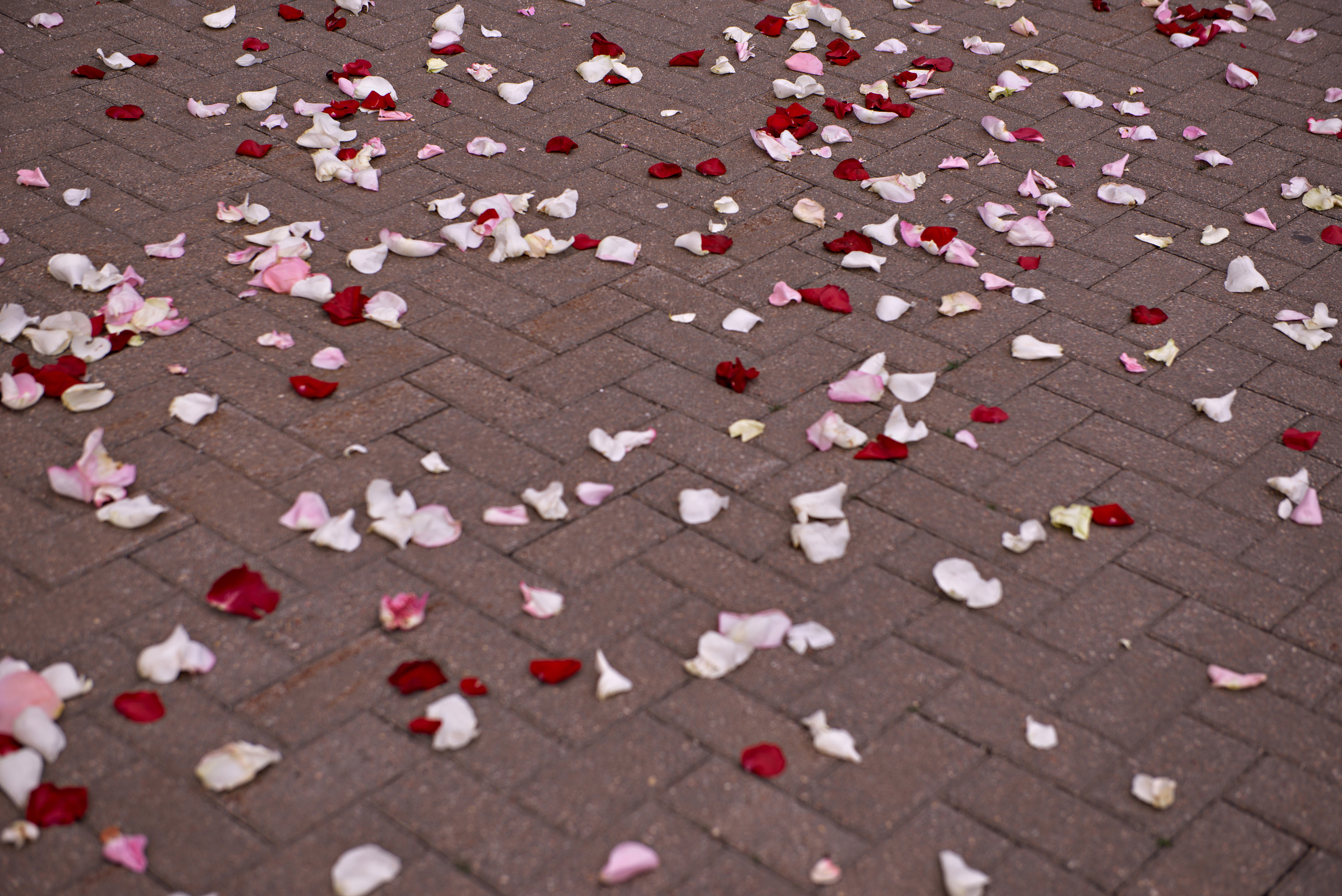 Свадьба Максима и Екатерины. Фотограф Катерина Устименко