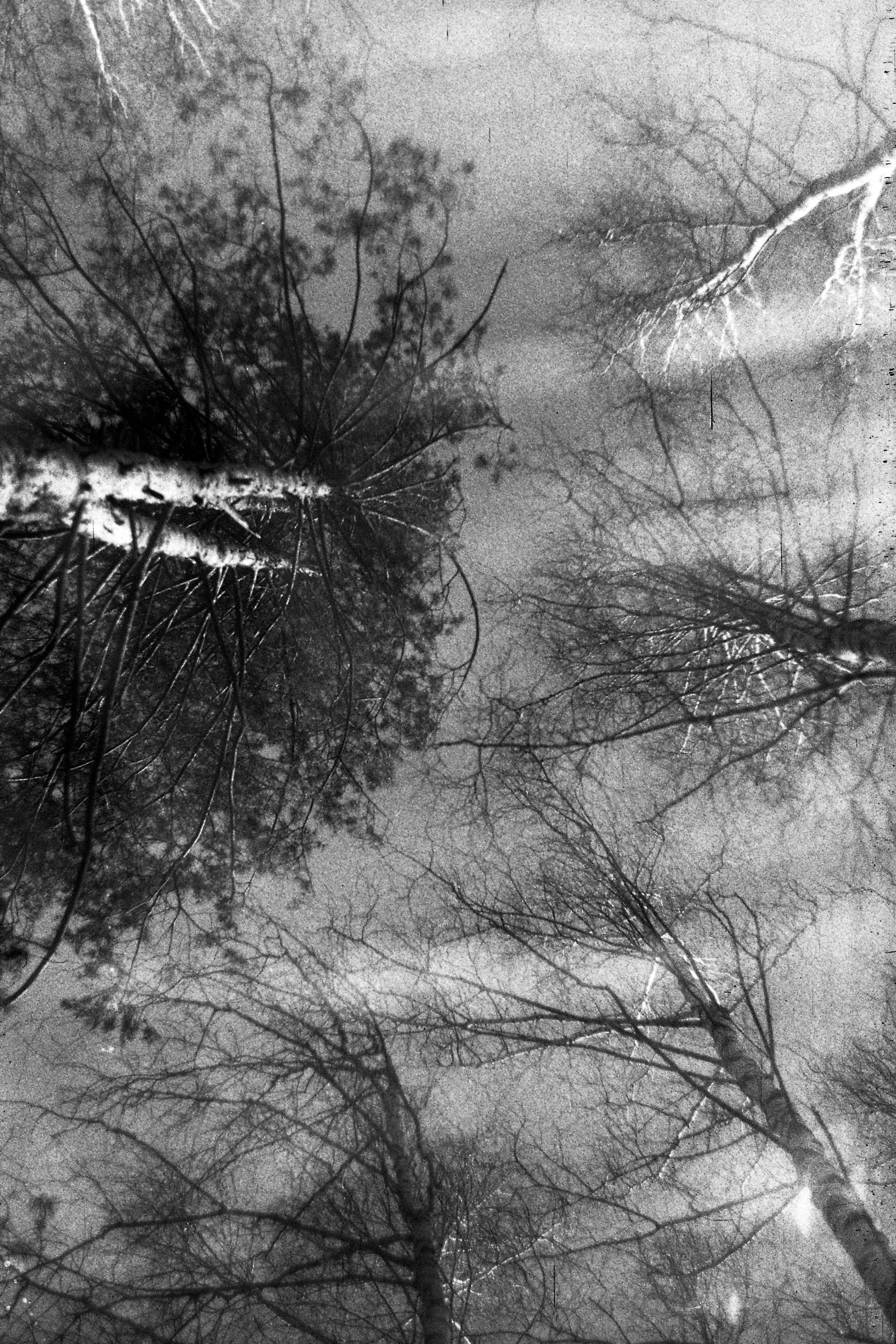 Осенние нуары. Контент-креатор Паша Норицын