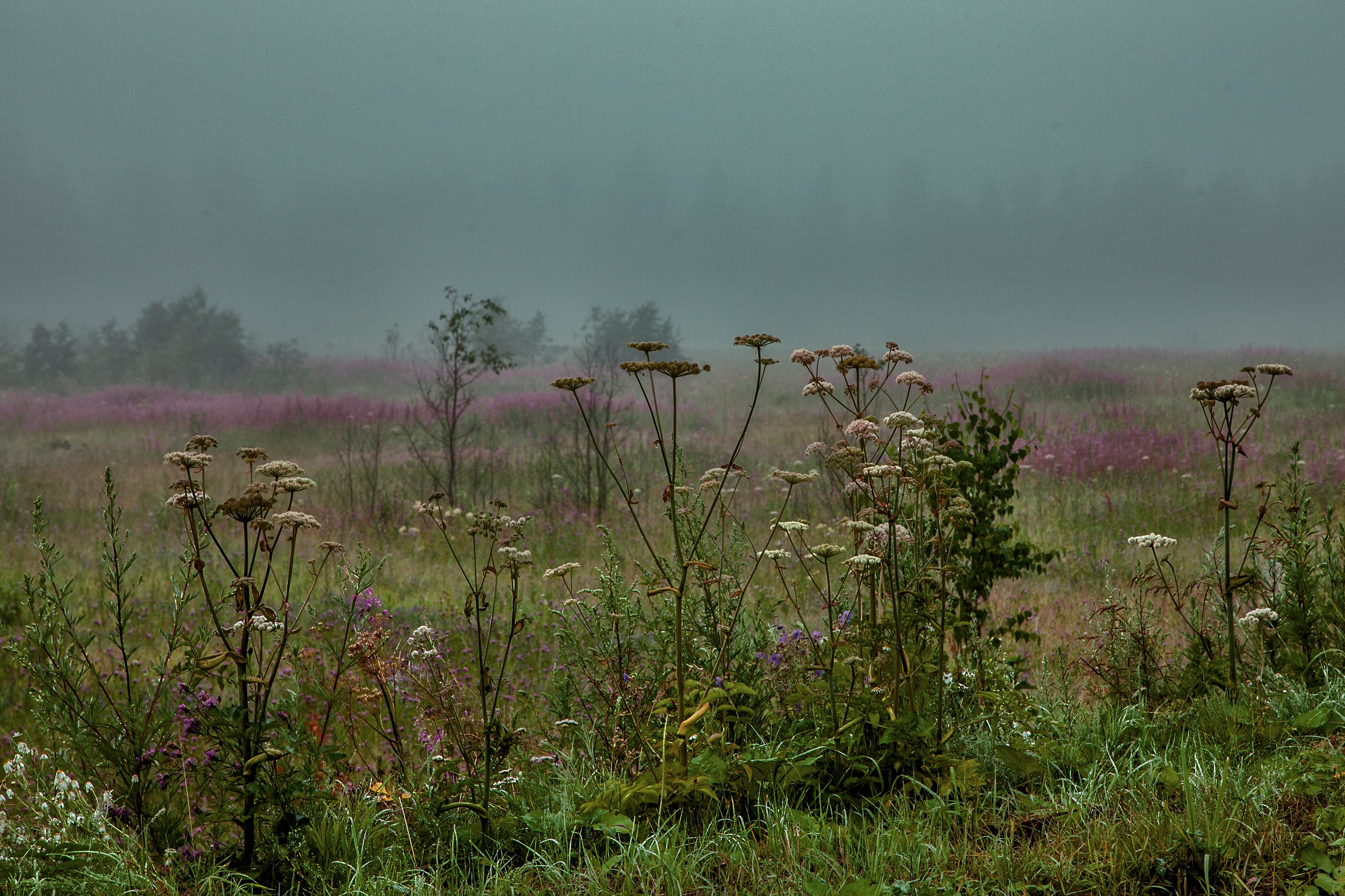 Тишина. Свадьбы, портретная, предметная съемка. Фотограф Александр К