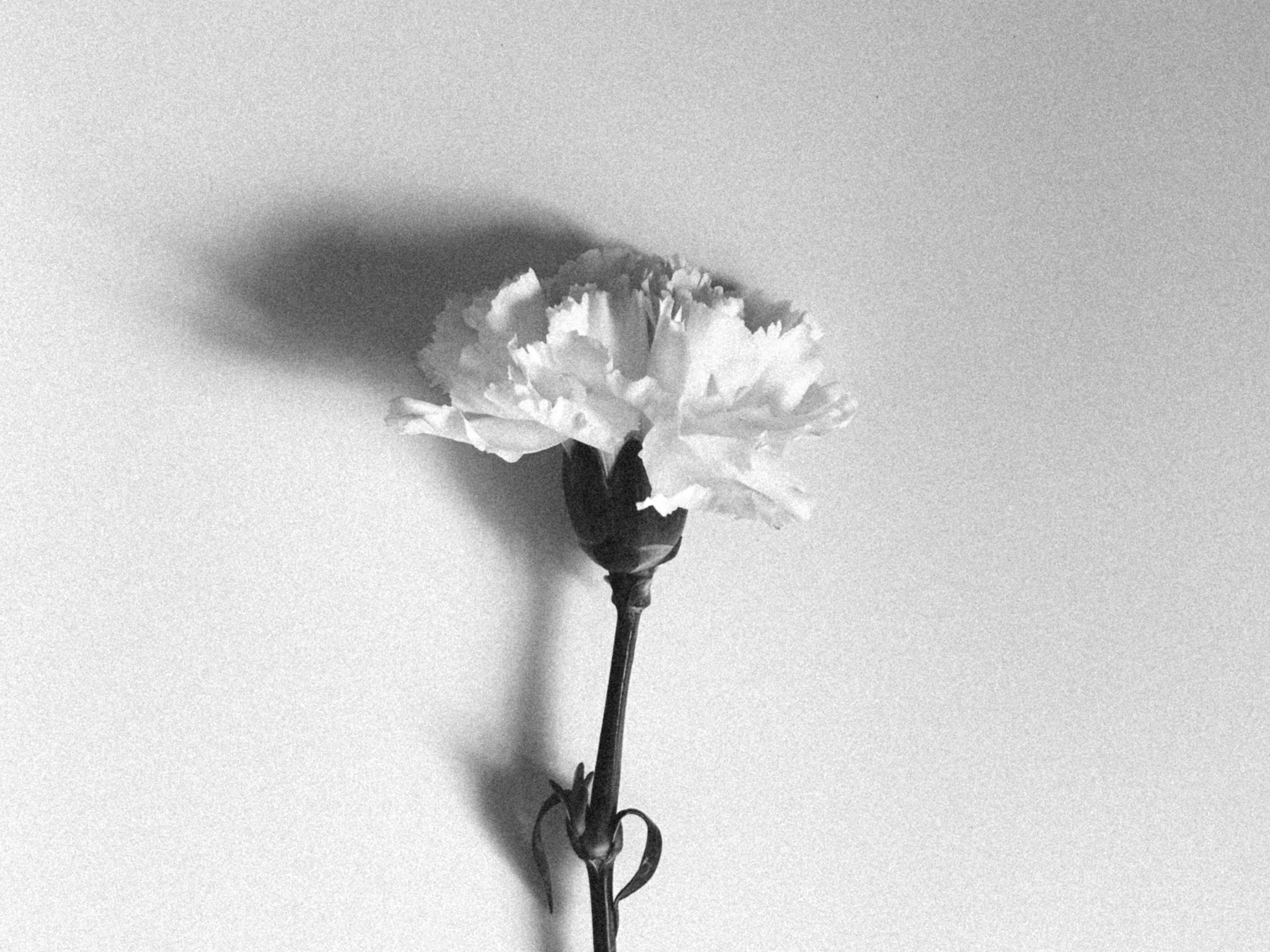 Екатерина Шершнева, фотограф в Москве