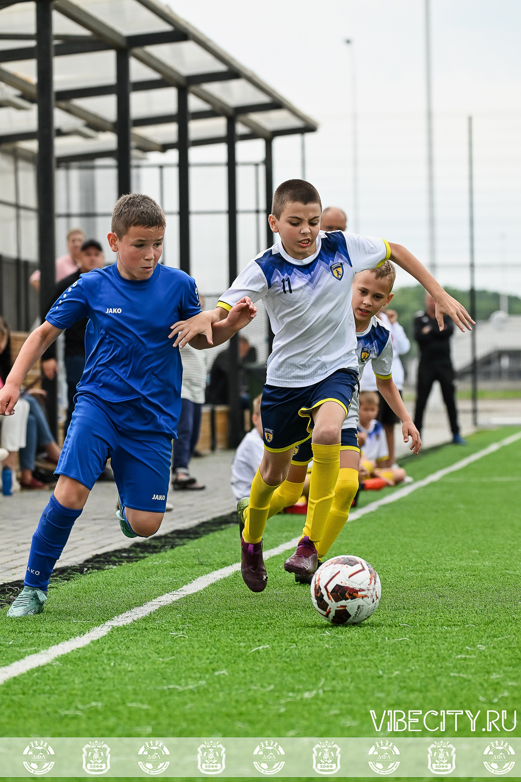 Калининградская Детская Футбольная Лига. VIBECITY.RU Вайб Сити Ру Фоторепортажи Фотоотчеты Калининград