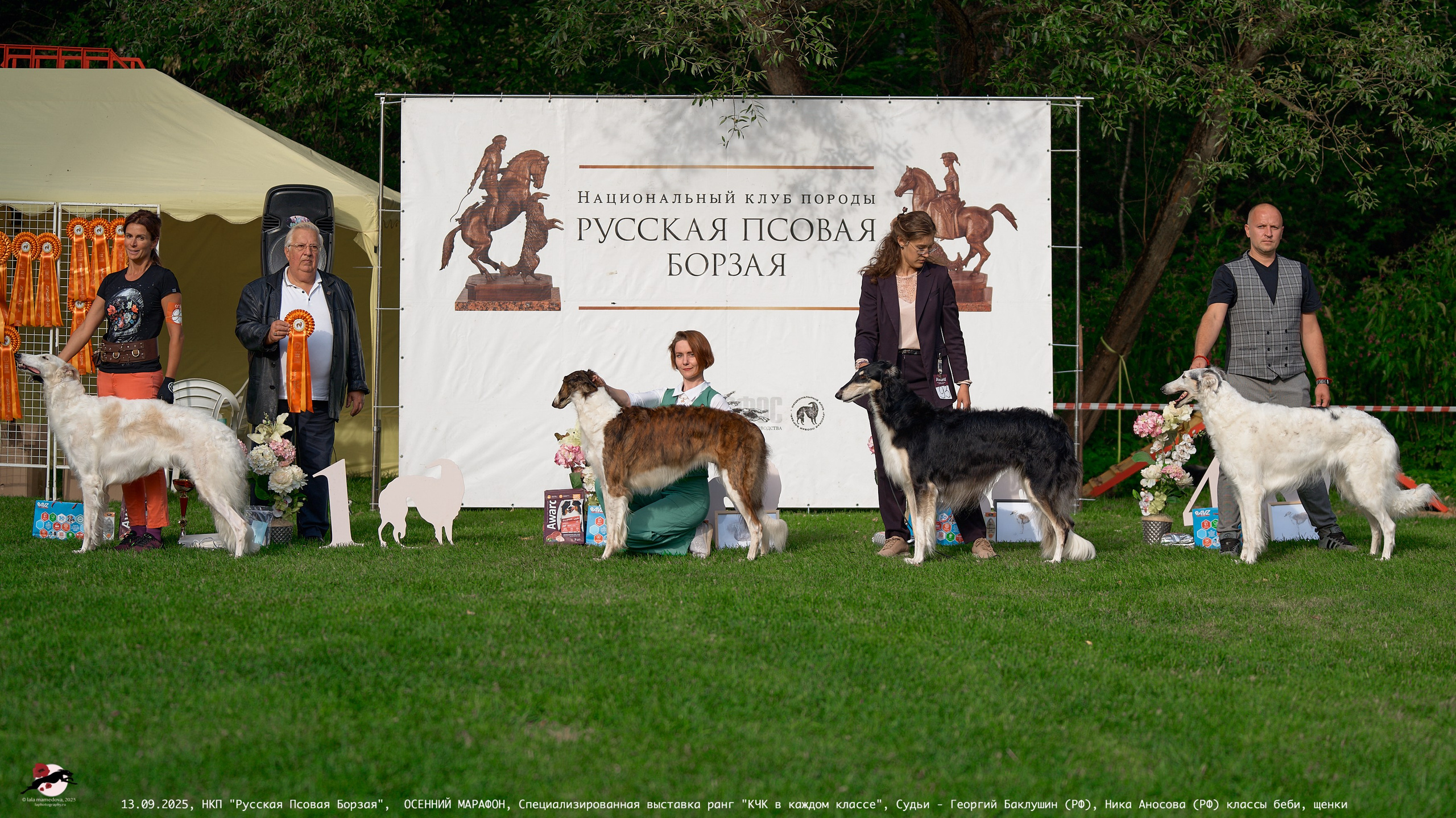 ОСЕННИЙ МАРАФОН | Специализированная выставка породы Русская Псовая Борзая ранг "КЧК в каждом классе"