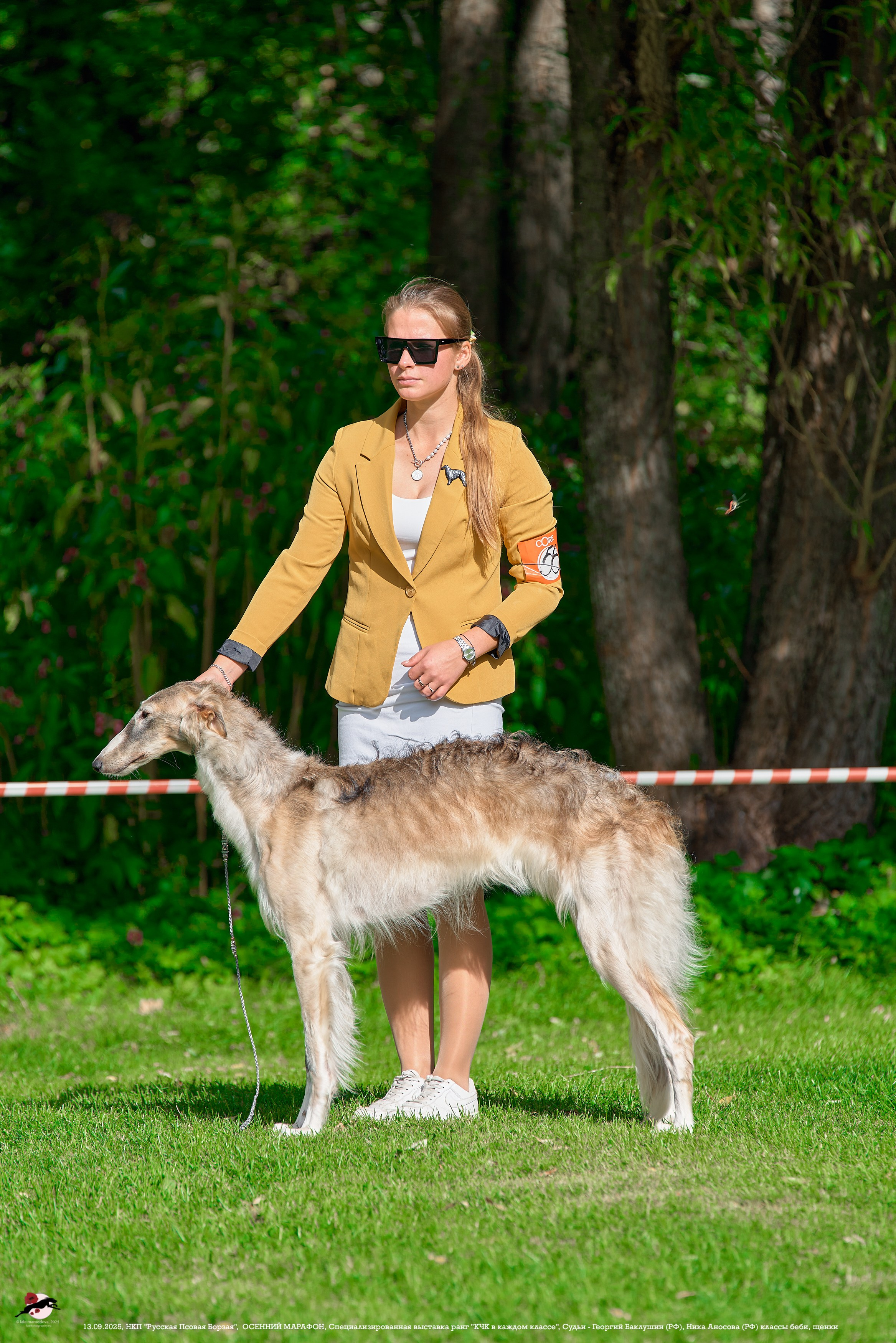 ОСЕННИЙ МАРАФОН | Специализированная выставка породы Русская Псовая Борзая ранг "КЧК в каждом классе"