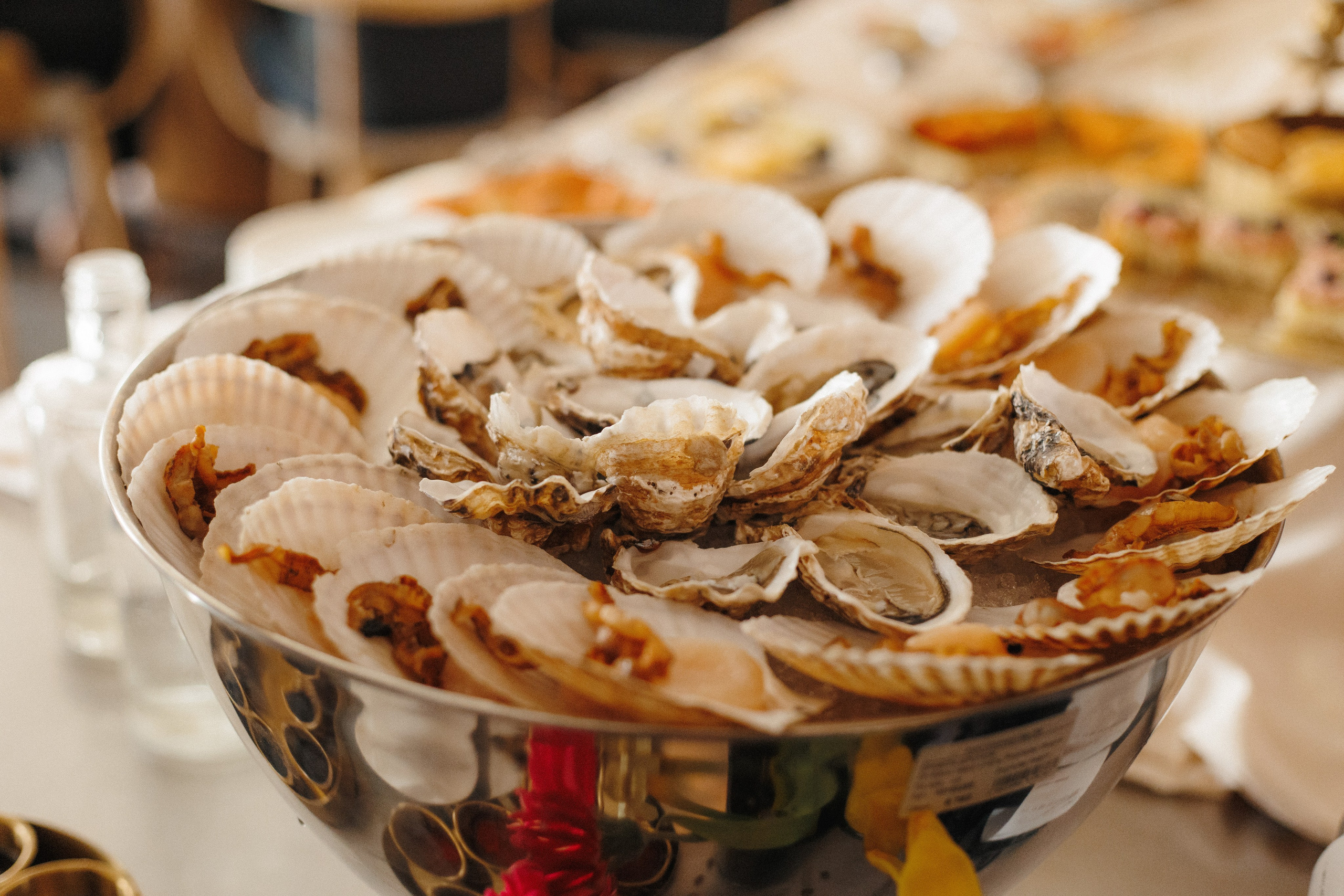 ФЕДЕРАЦИЯ — Презентация клубного дома. СВОИ. ФОТООТЧЕТЫ-СОБЫТИЯ-МЕСТА