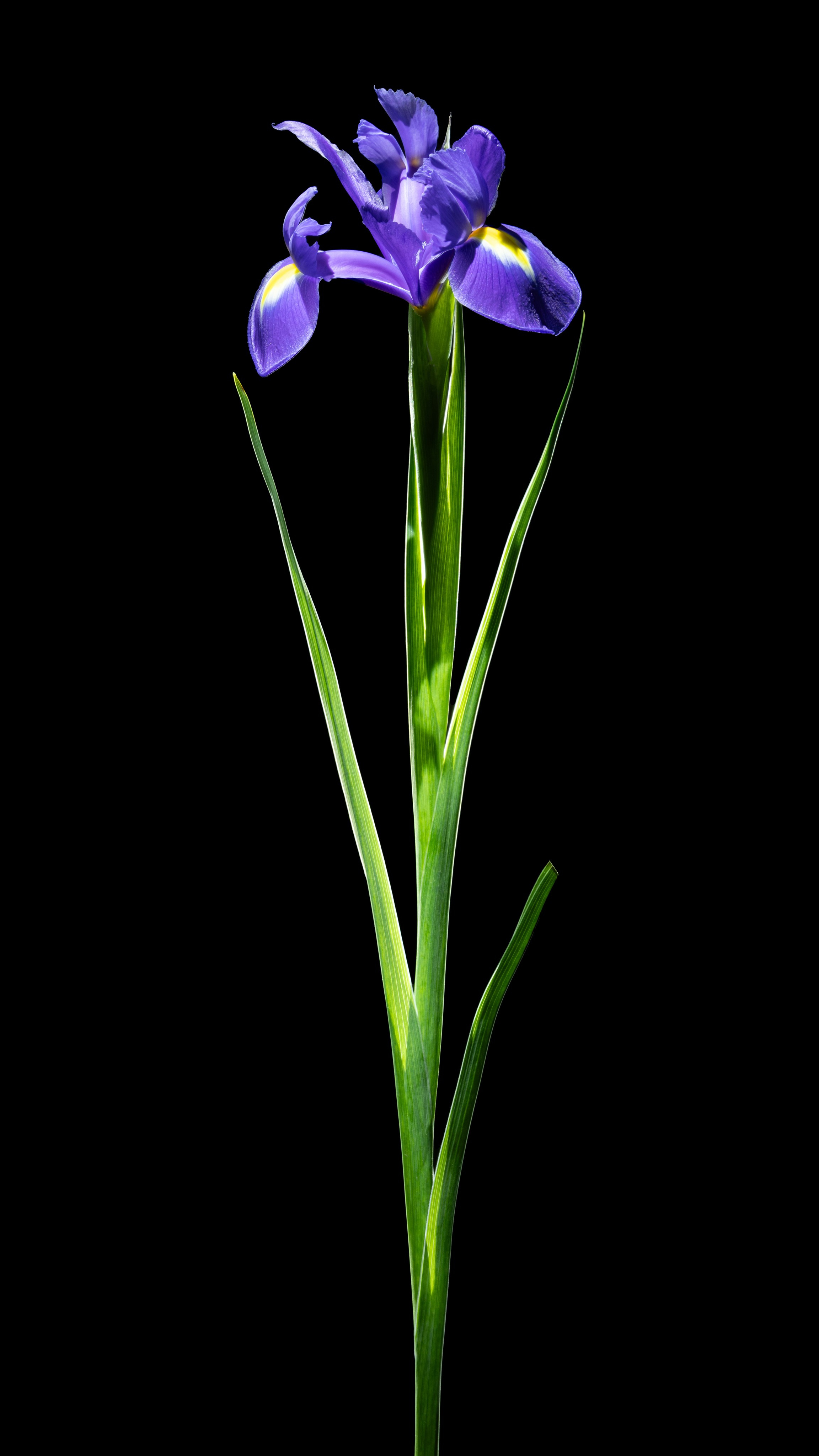 Проекты. Sakunov Photo