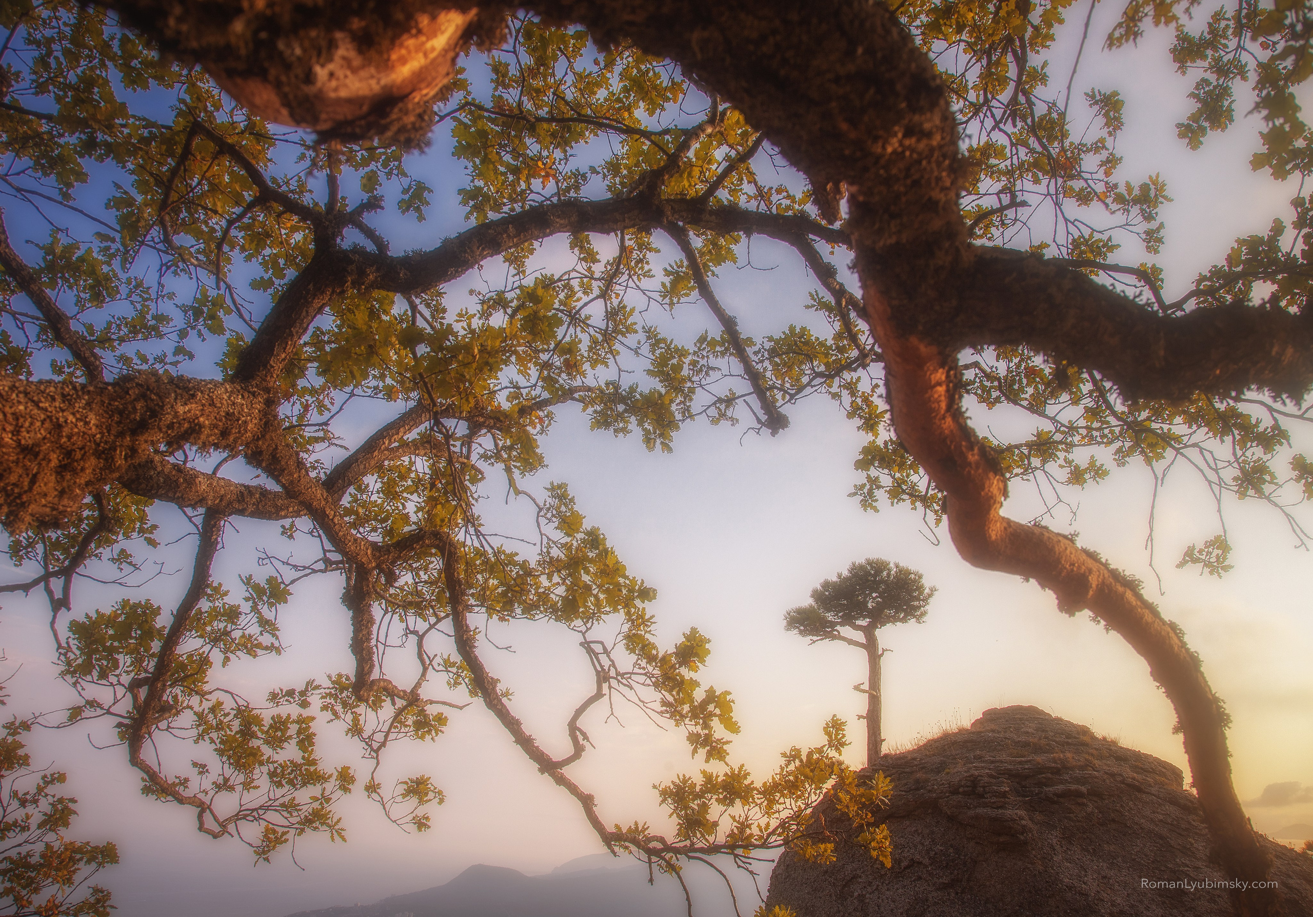 Крым (Индивидуальный). Пейзажный & Timelapse фотограф Роман Любимский