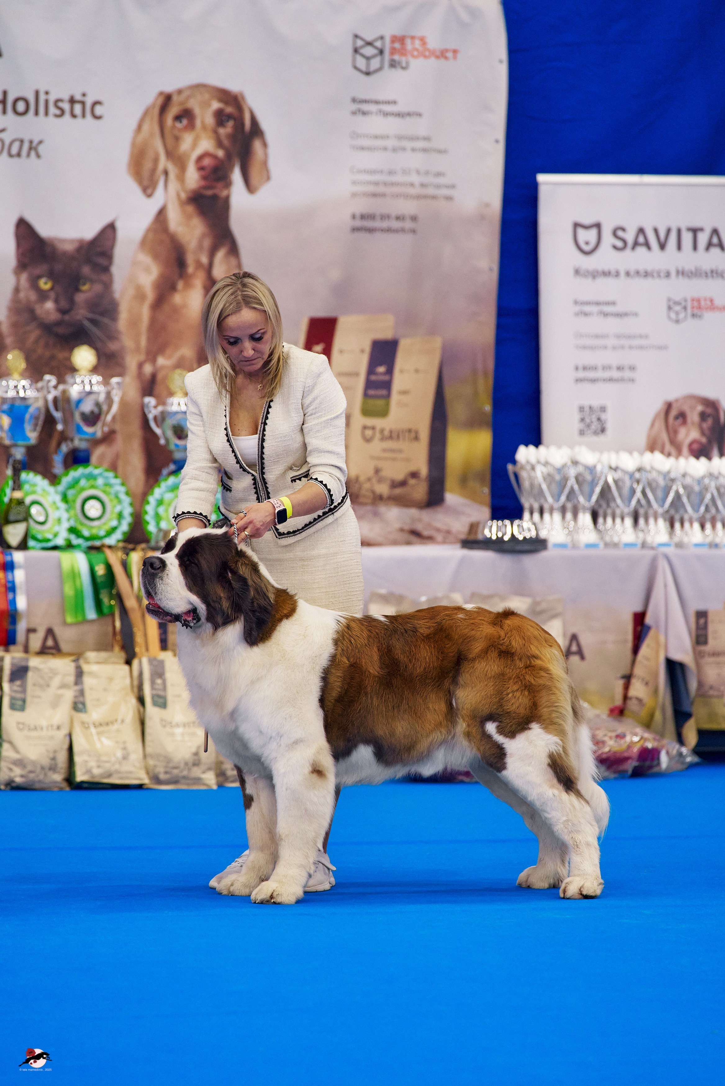 ГРАН ПРИ «ВЕСЕННИЙ ПЕТЕРБУРГ» & «СУПЕР КУБОК «ЭЛИТЫ»-2025»