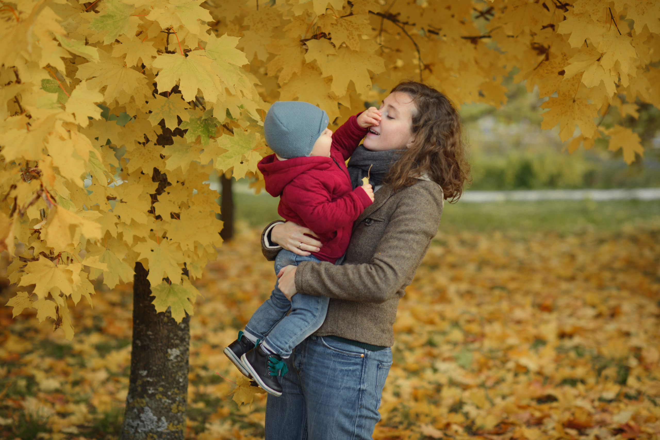 Photo shoot of a mom with baby in autumn. Photos with yellow leaves