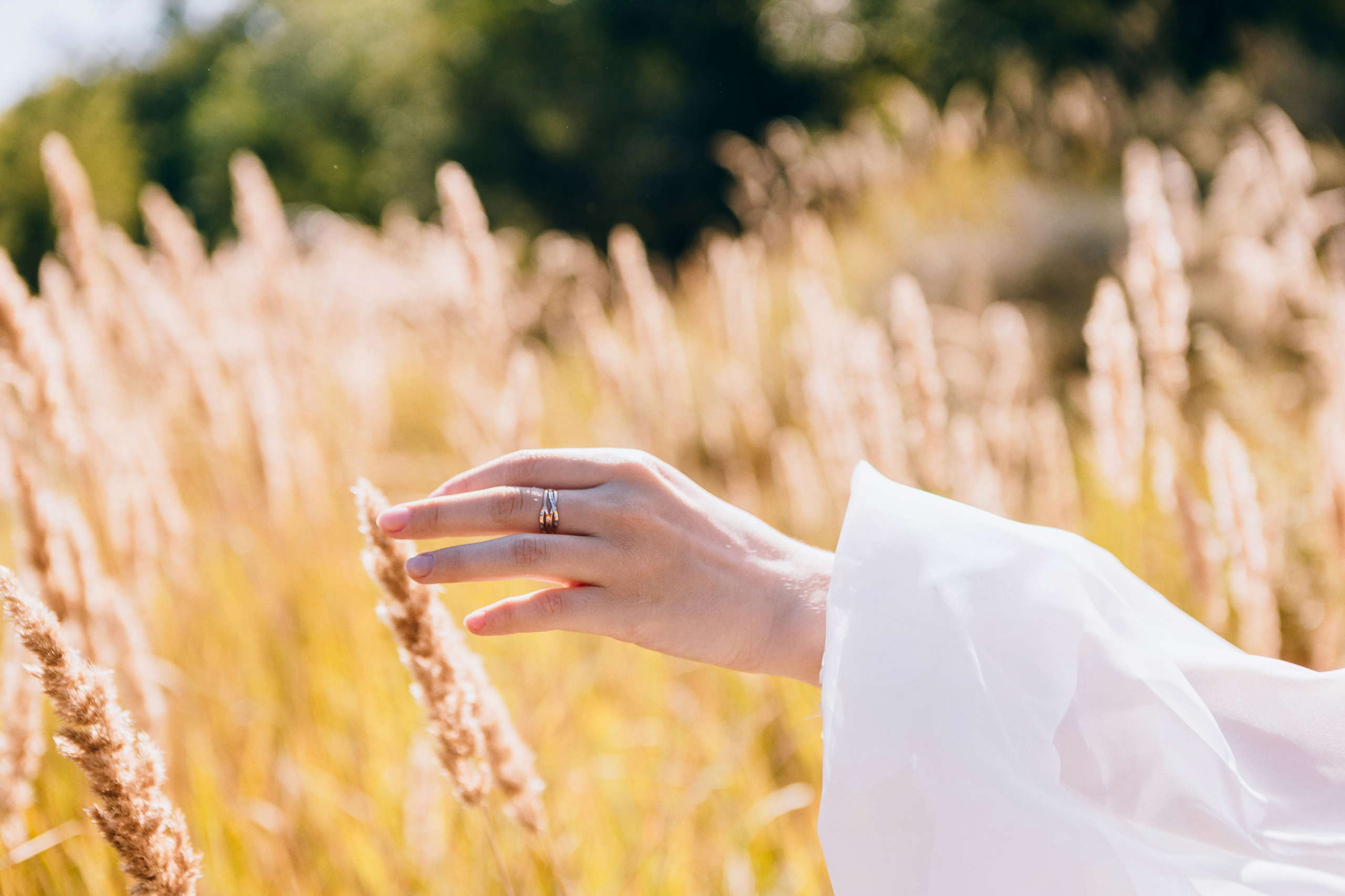 Свадебный фотограф в Луганске ЛНР