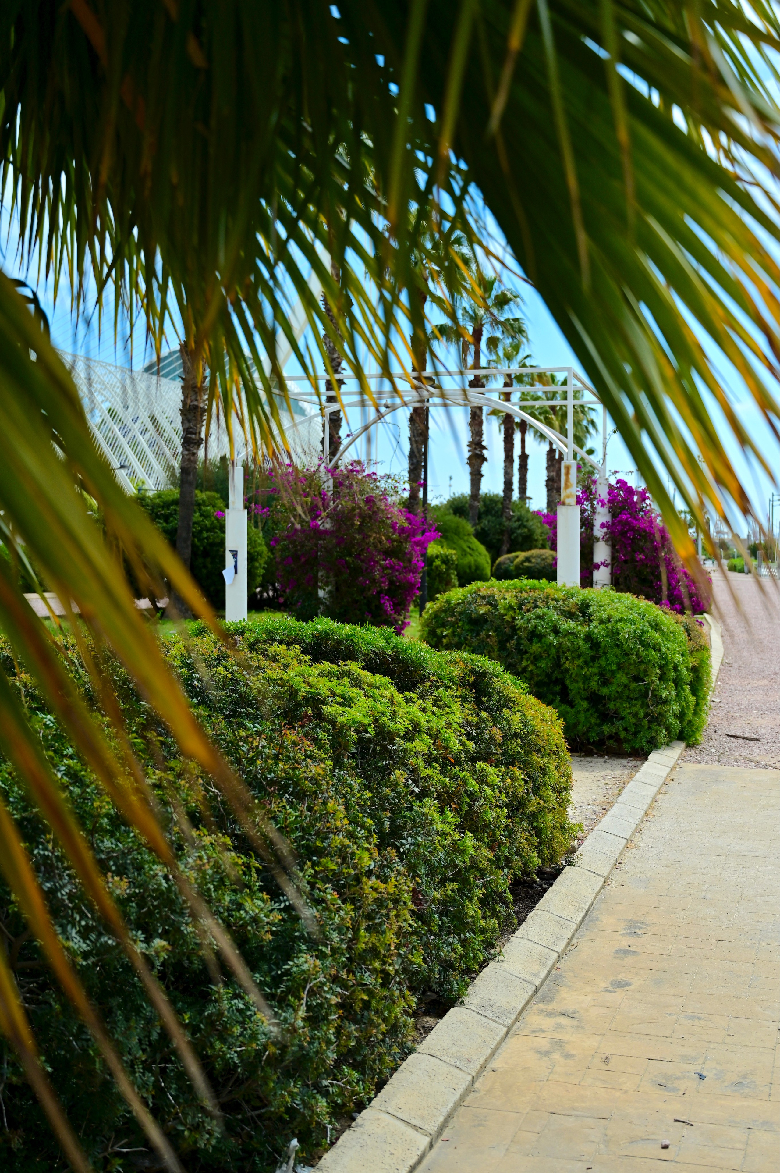 Парки Валенсии. Гид и фотограф в Валенсии Новиков Михаил