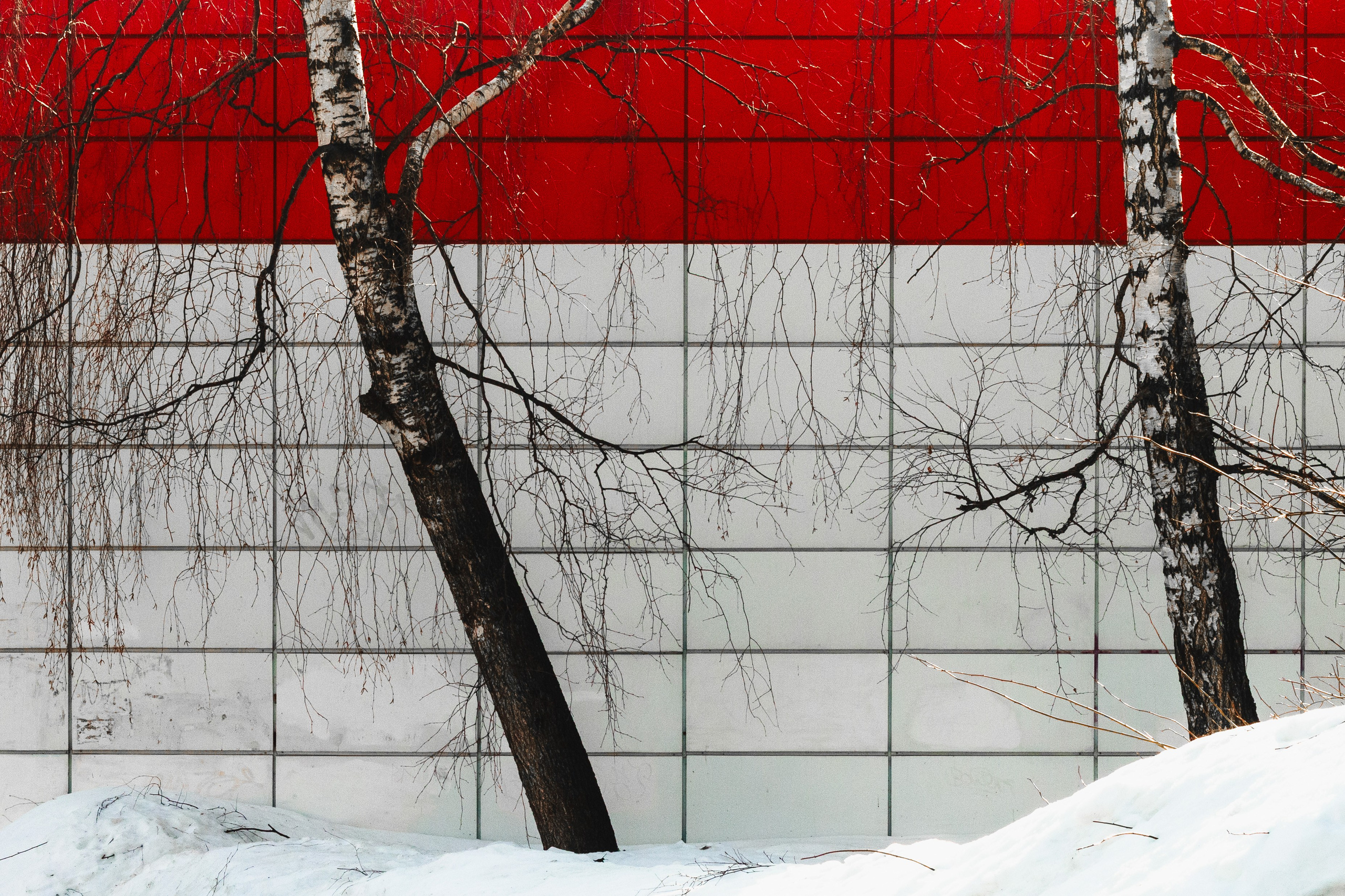 Родные узоры. Россия. Олег Романов. Мастер фото по спорту