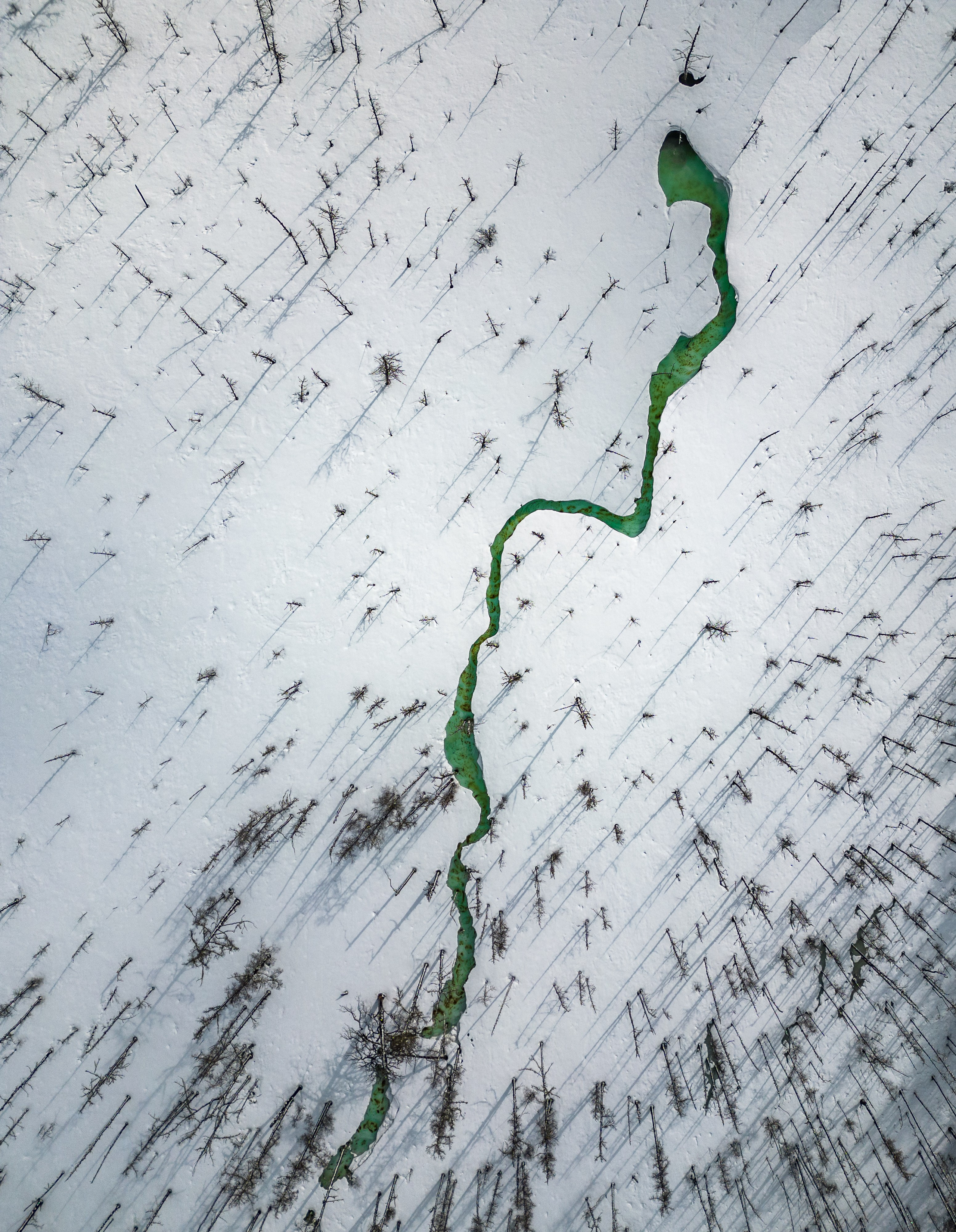 Фототуры по России с Наталией Поляковой