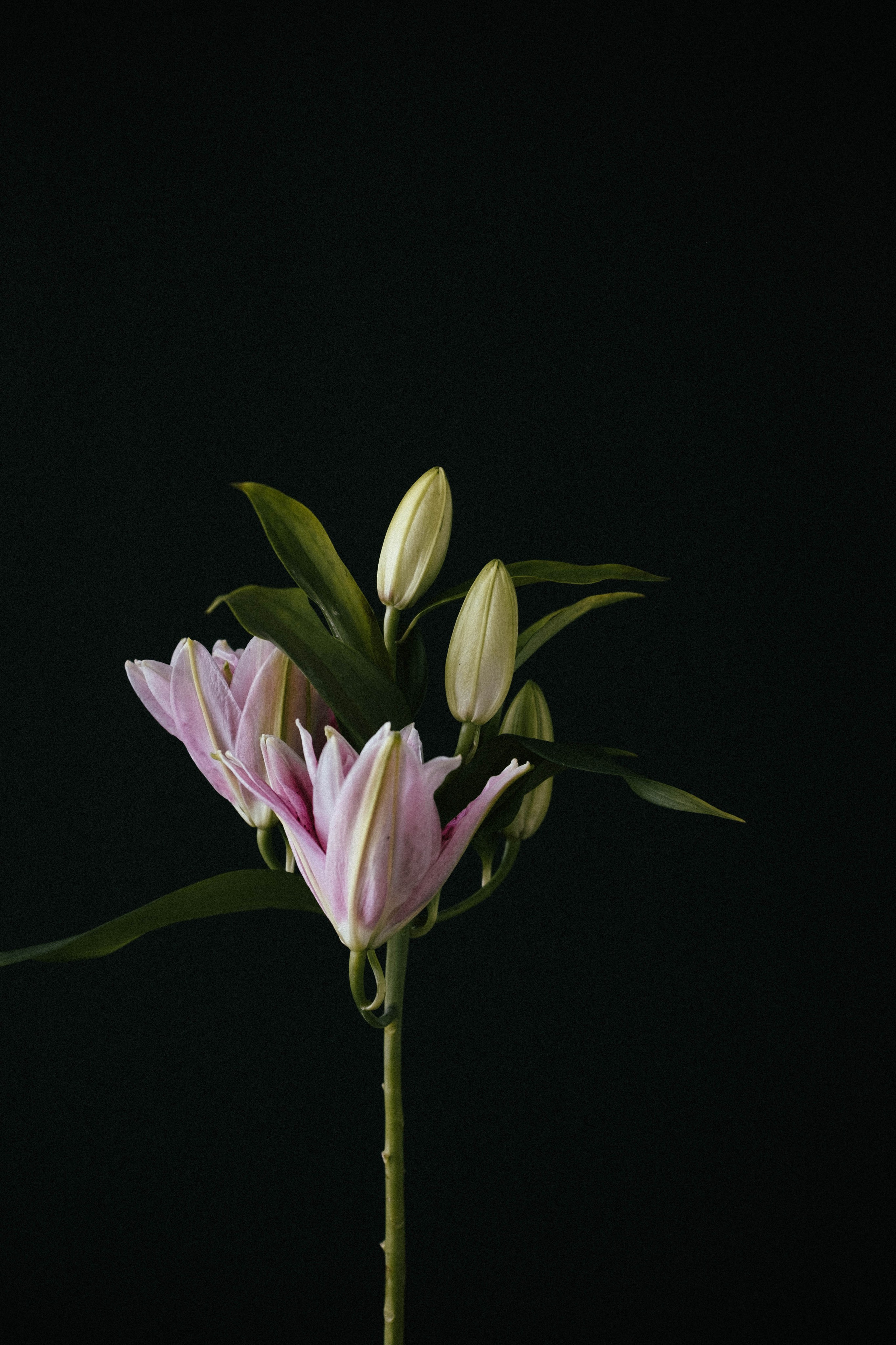 Фотограф в Москве — Анна Киселёва | портреты и тёплые истории