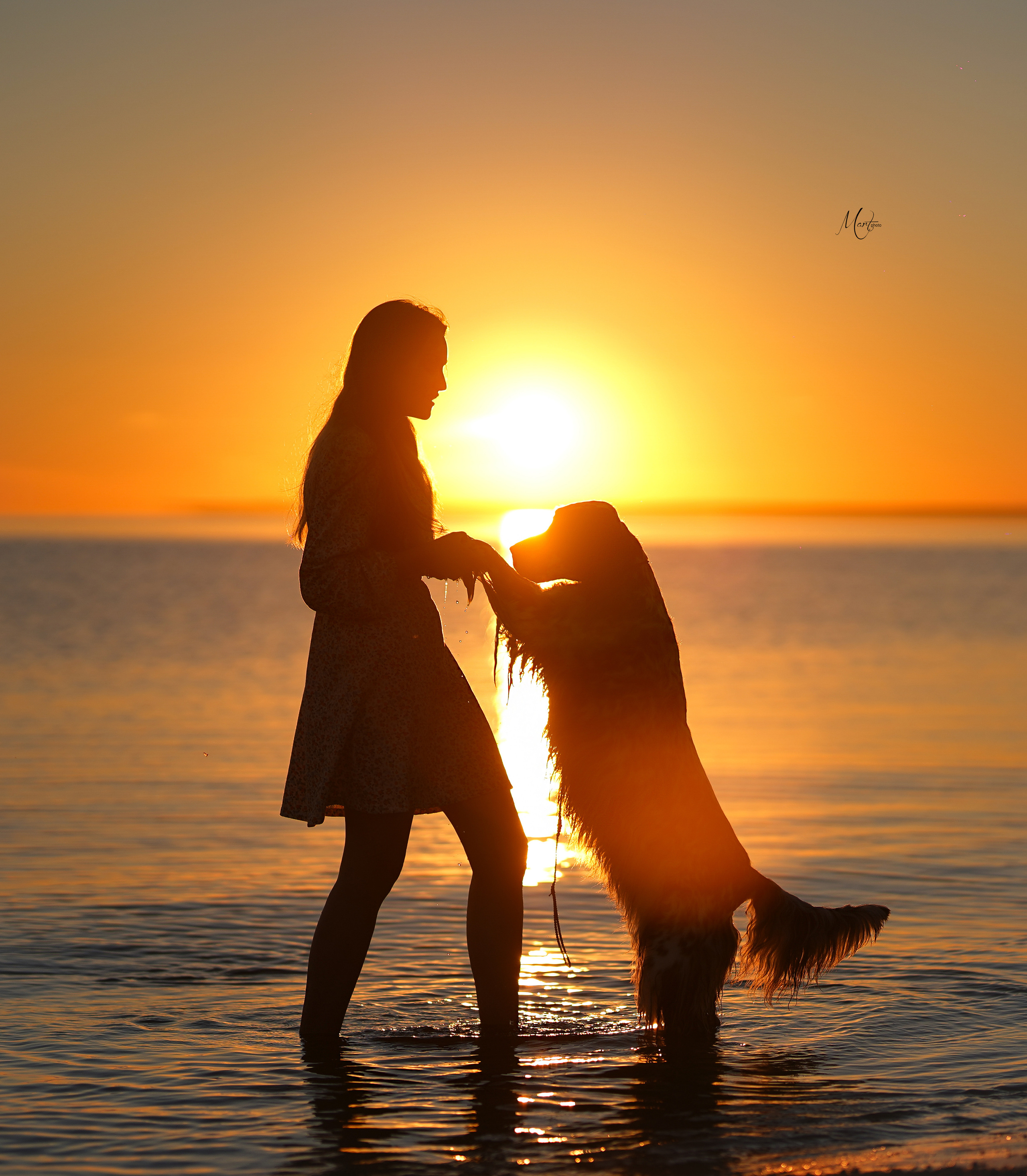 Фотограф-анималист в Санкт-Петербурге Яна Мартынова