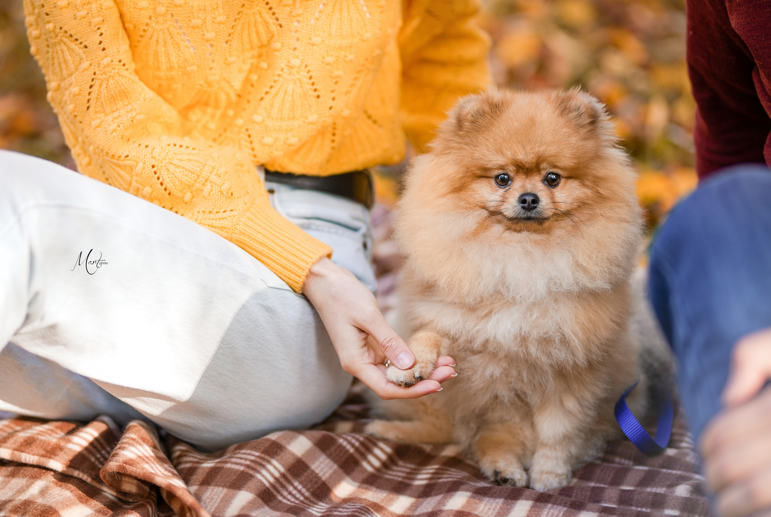Фотограф-анималист в Санкт-Петербурге Яна Мартынова