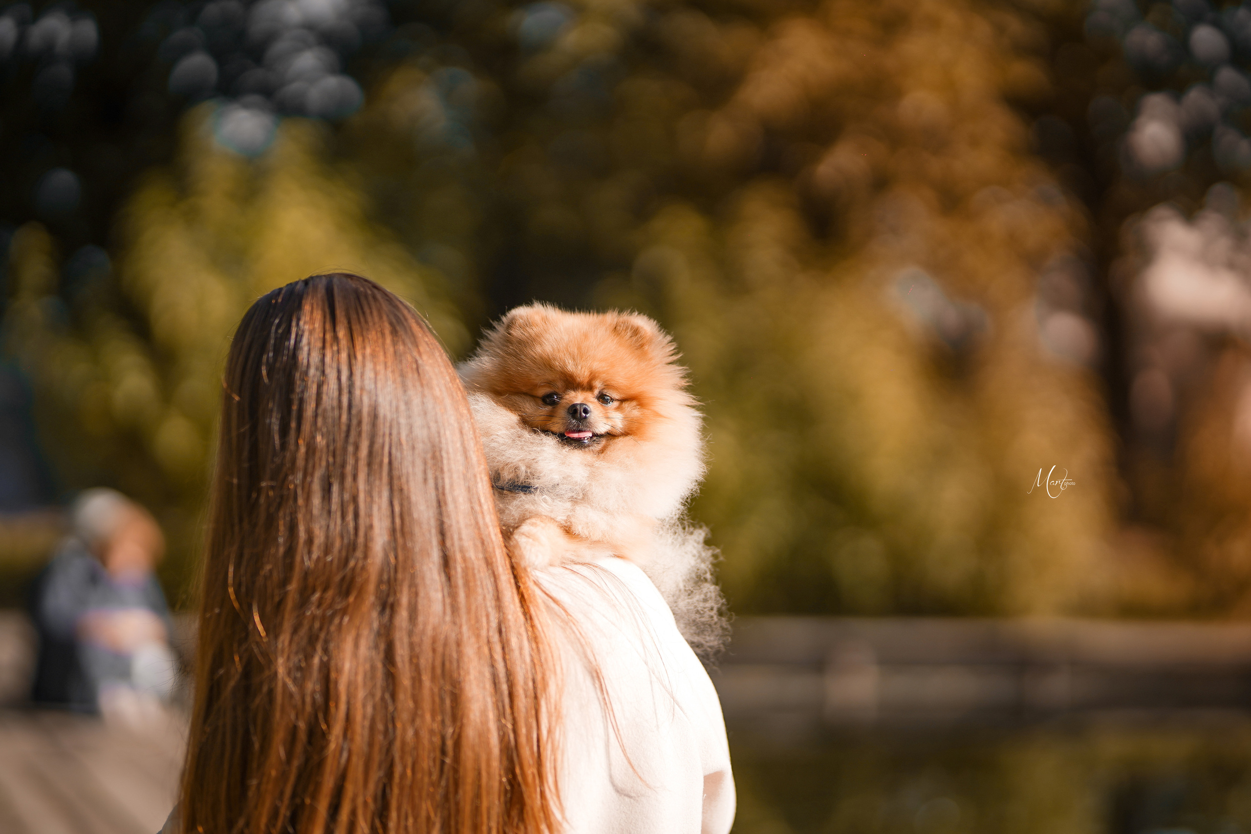 Фотограф-анималист в Санкт-Петербурге Яна Мартынова