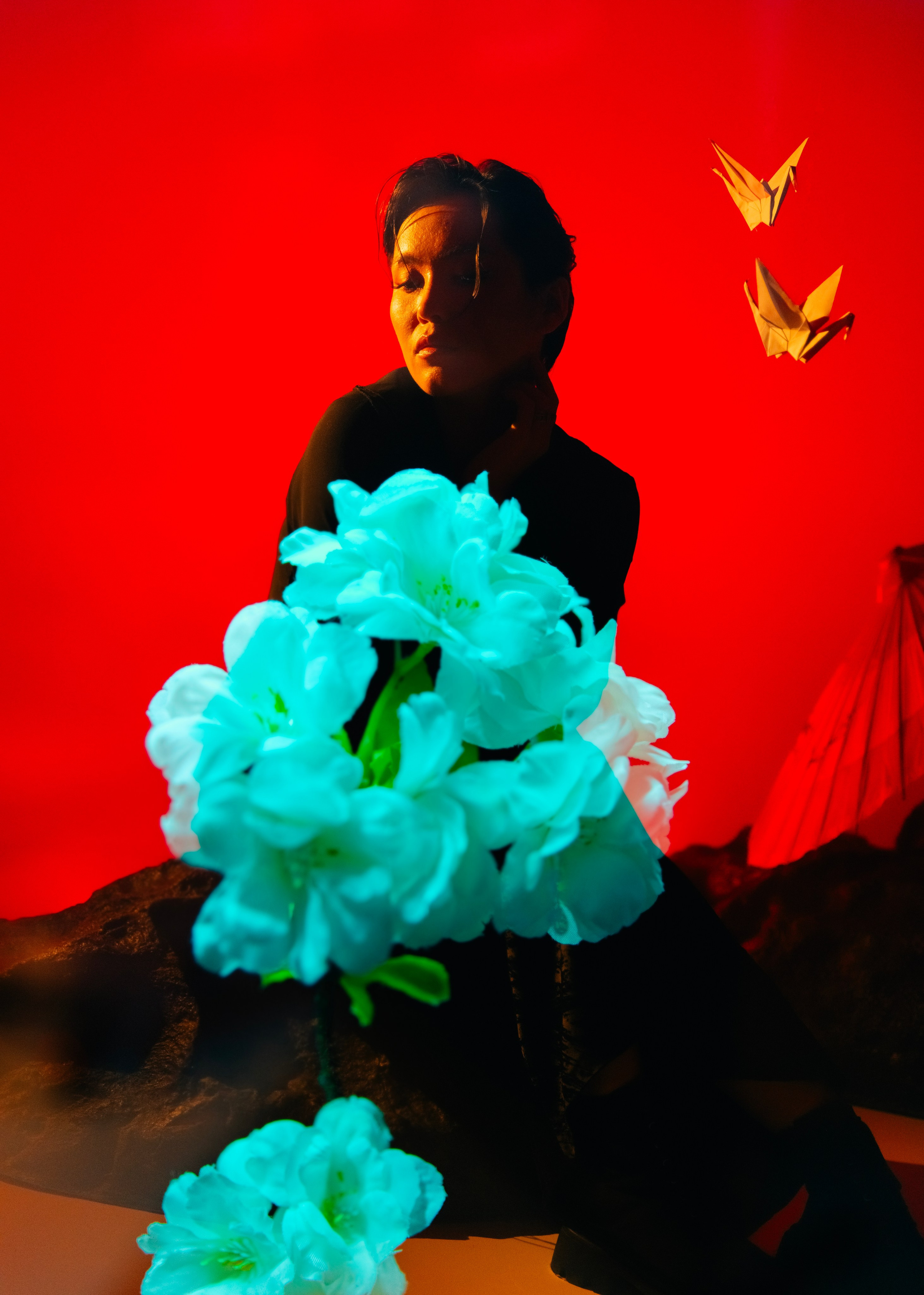 «Тени Киото»