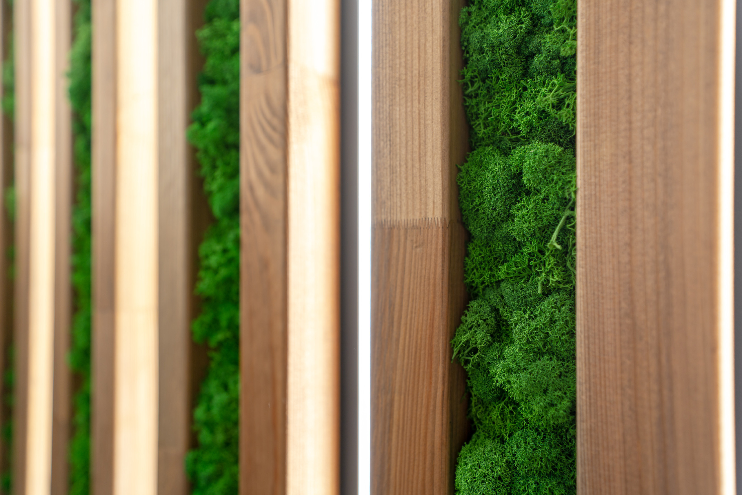 Beauty Prime — cosmetology center. Svyatoslav Bunkov | photographer