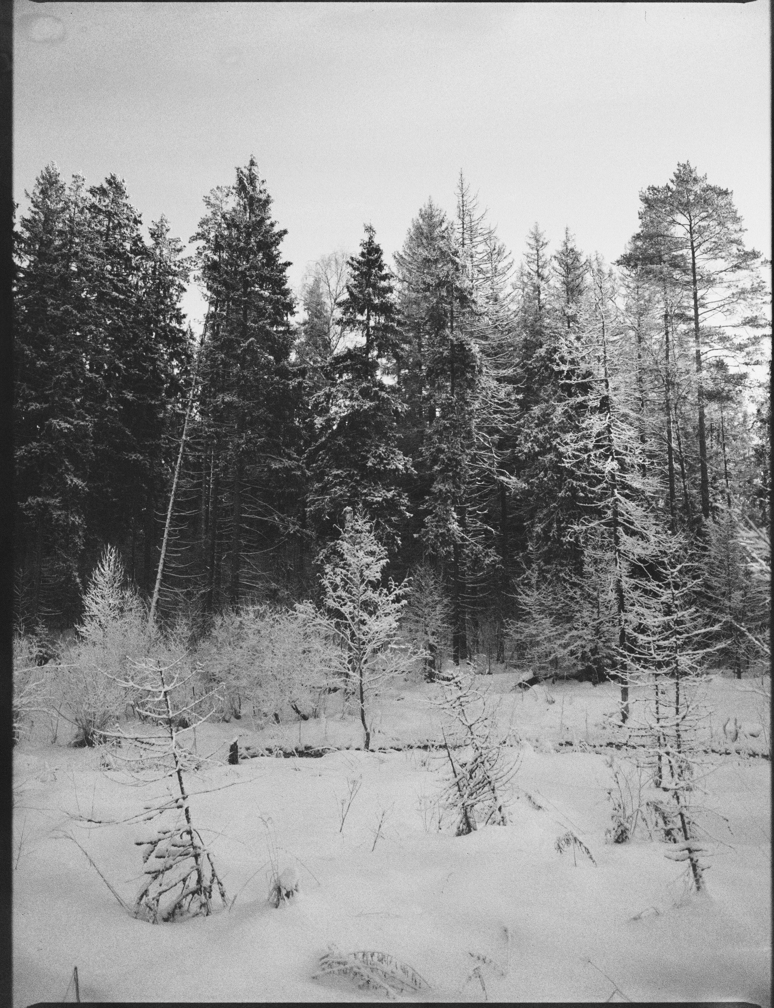 Mamiya 645 PRO — Mamiya-Sekor C 45 mm f/2.8