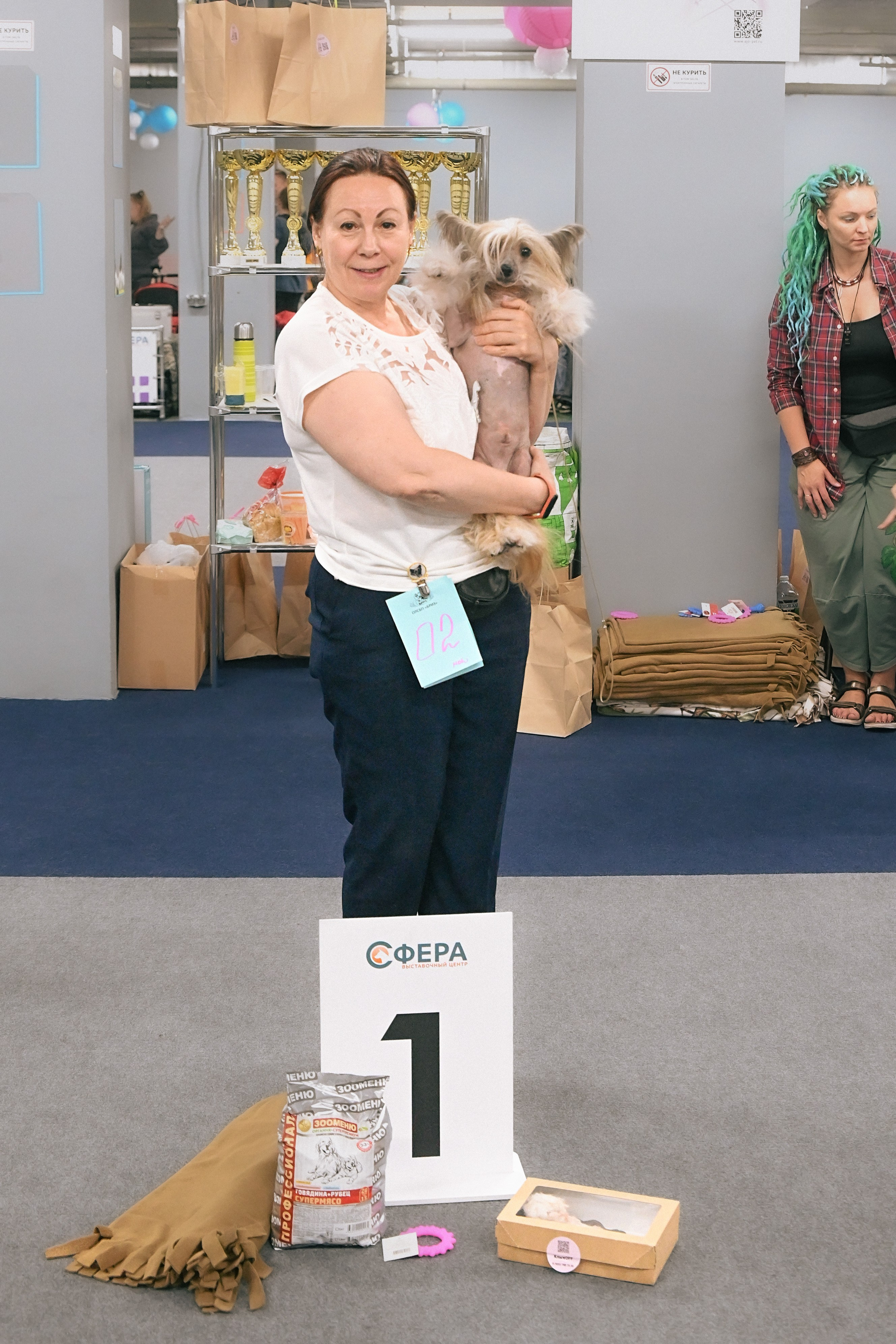 Poale Ell Chester. Питомник китайских хохлатых собак Poale Ell: купить щенка