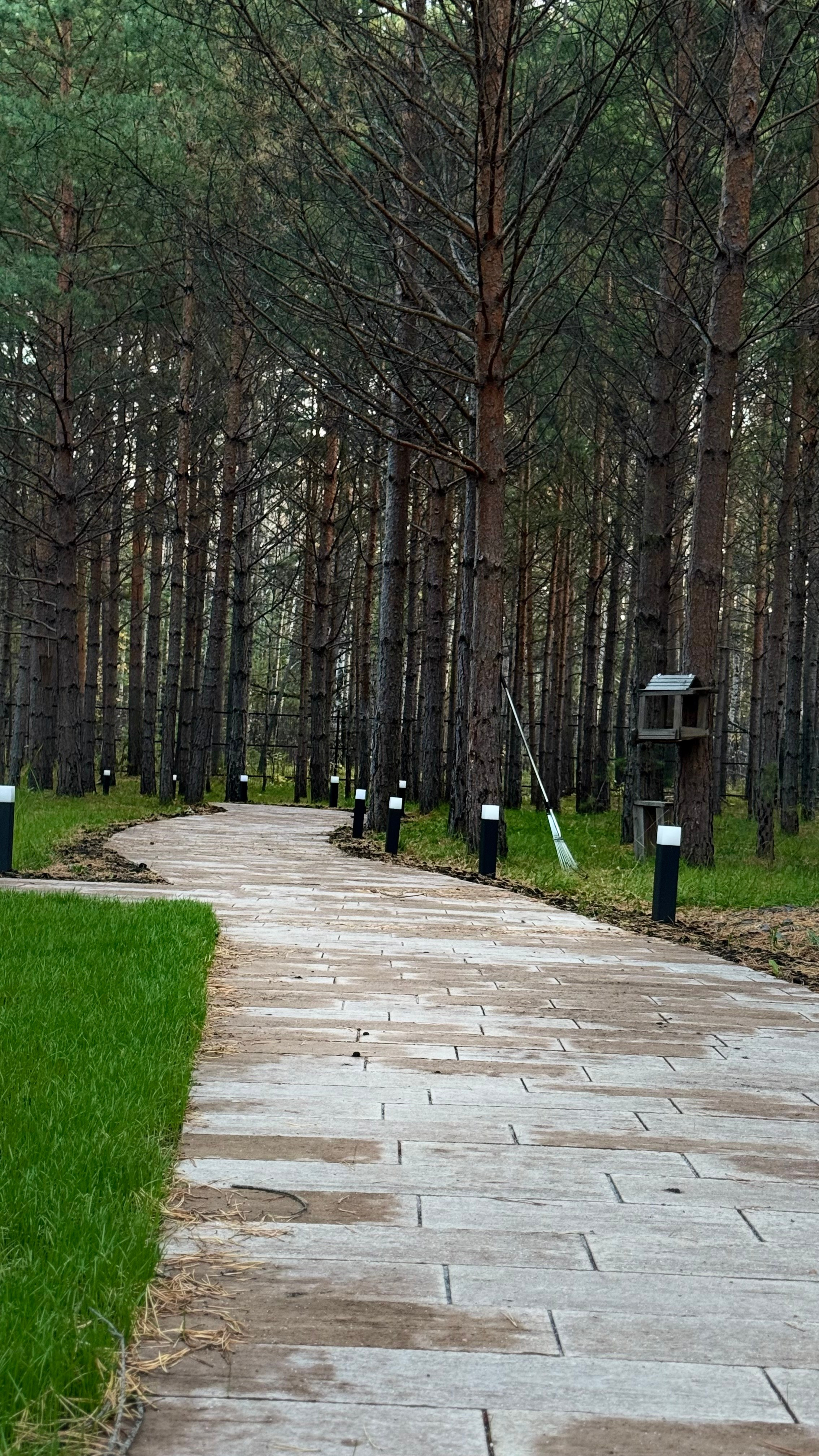 Гид от персонального стилиста: фотосессия в деревенском стиле. Екатерина Ананенко: персональный стилист из Красноярска