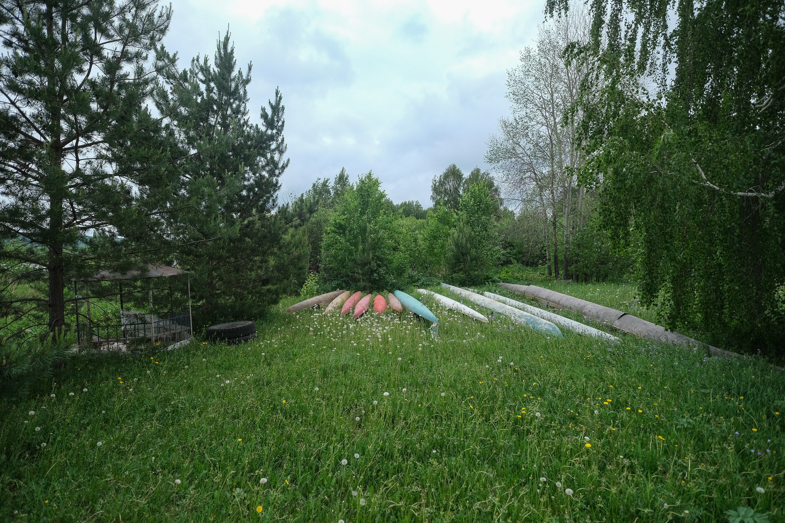 Никита Гольцов фотограф; Репортажный фотограф в Томске; Академическая гребля в Томске; Гребля;