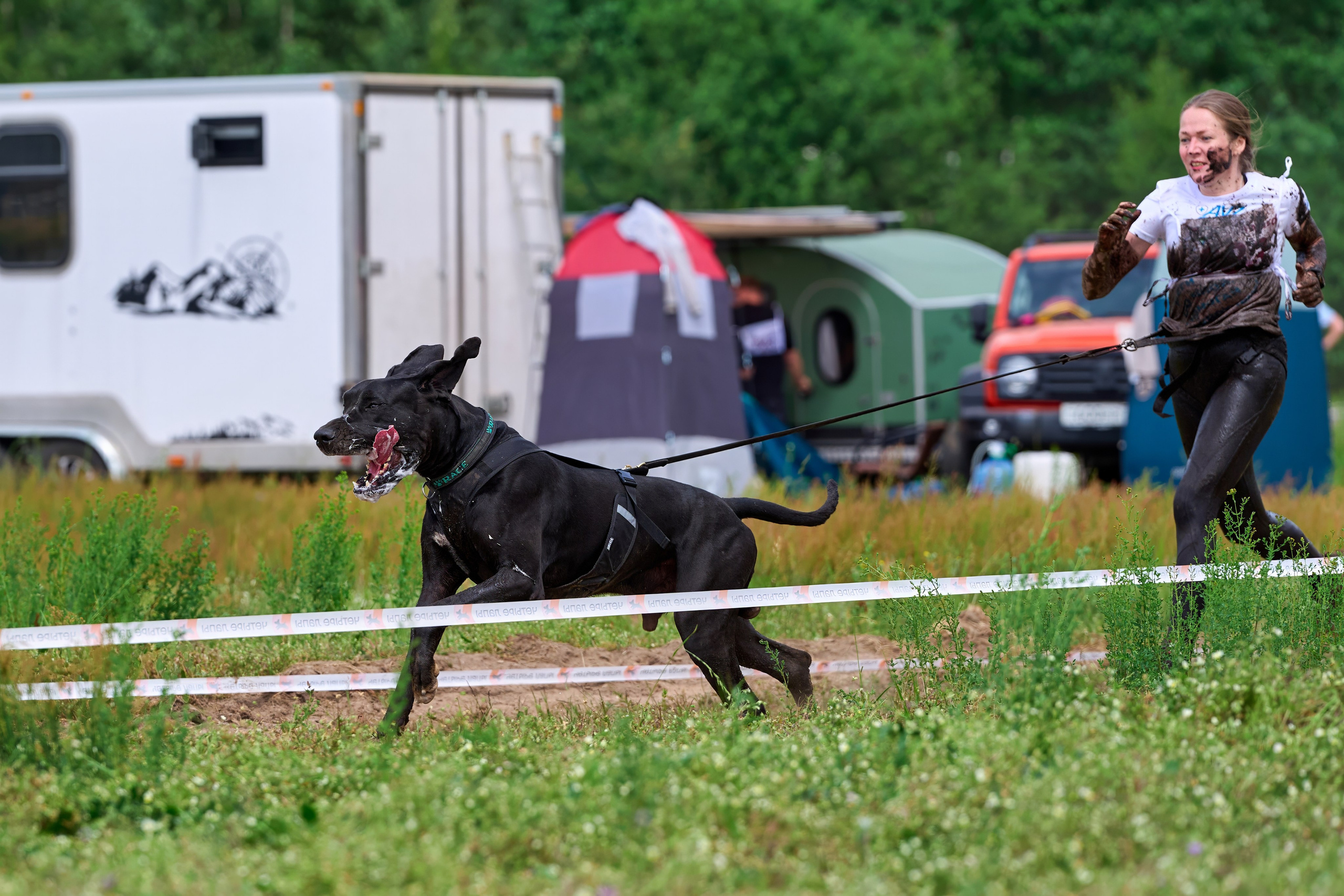 Хвостатый драйв — 2024. Фотограф-анималист Михаил Манухин