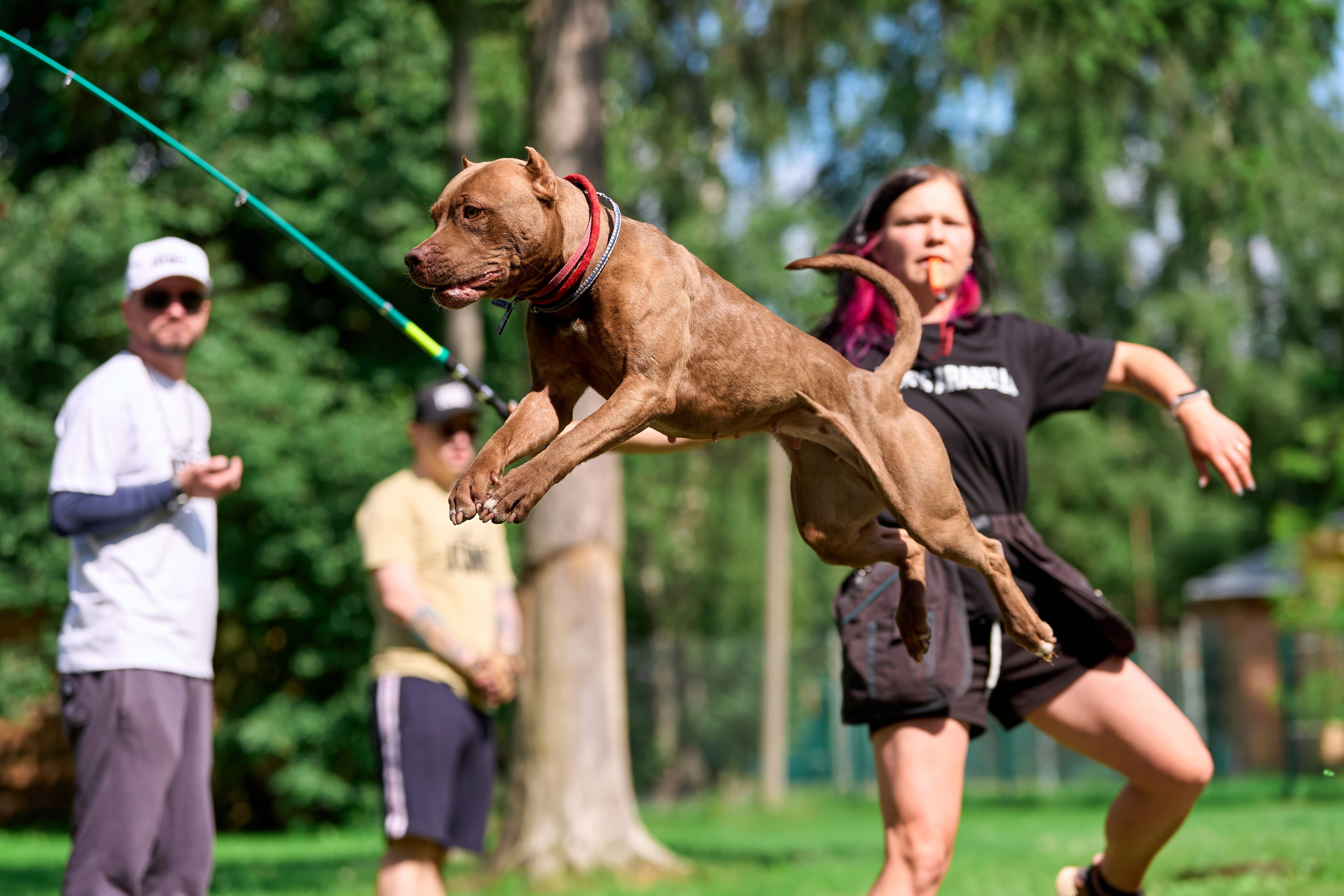 Двухдневные соревнования «Jump'n'Gym Fest — 2024». Фотограф-анималист Михаил Манухин