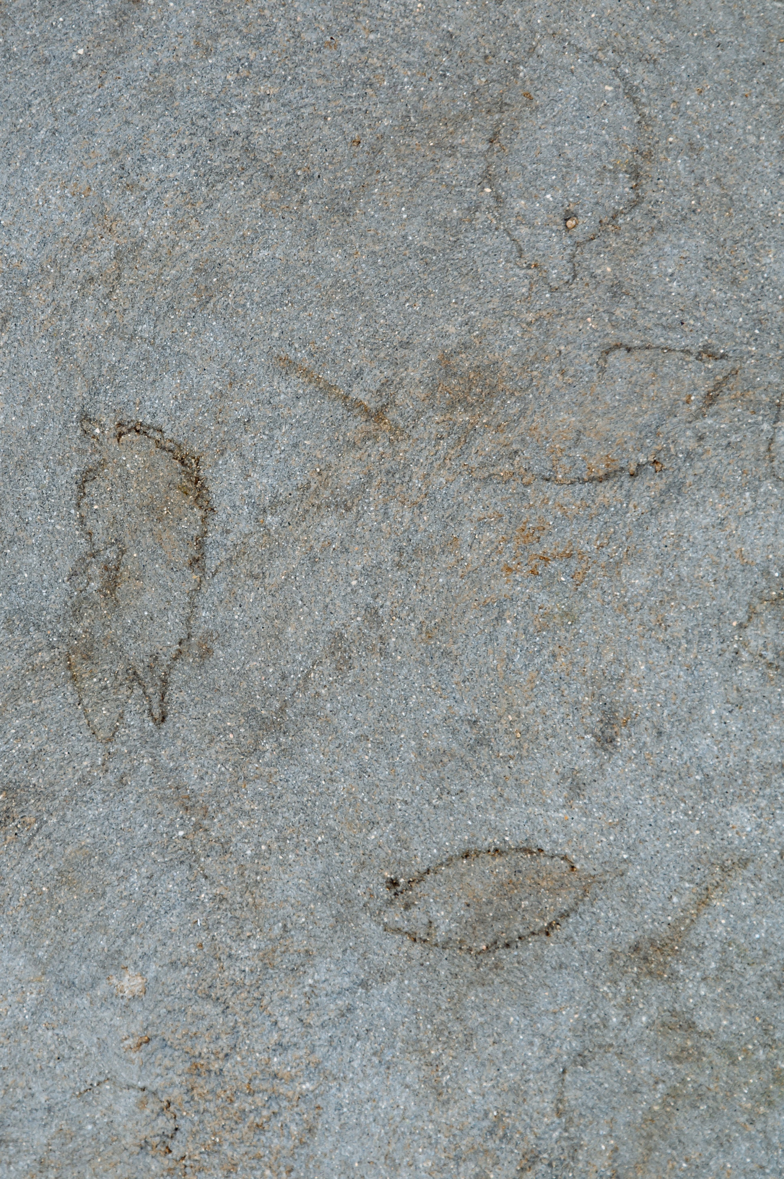 Владивосток и Китай (Яньцзы). Портретный фотограф Москва, репортаж и естественная постановка