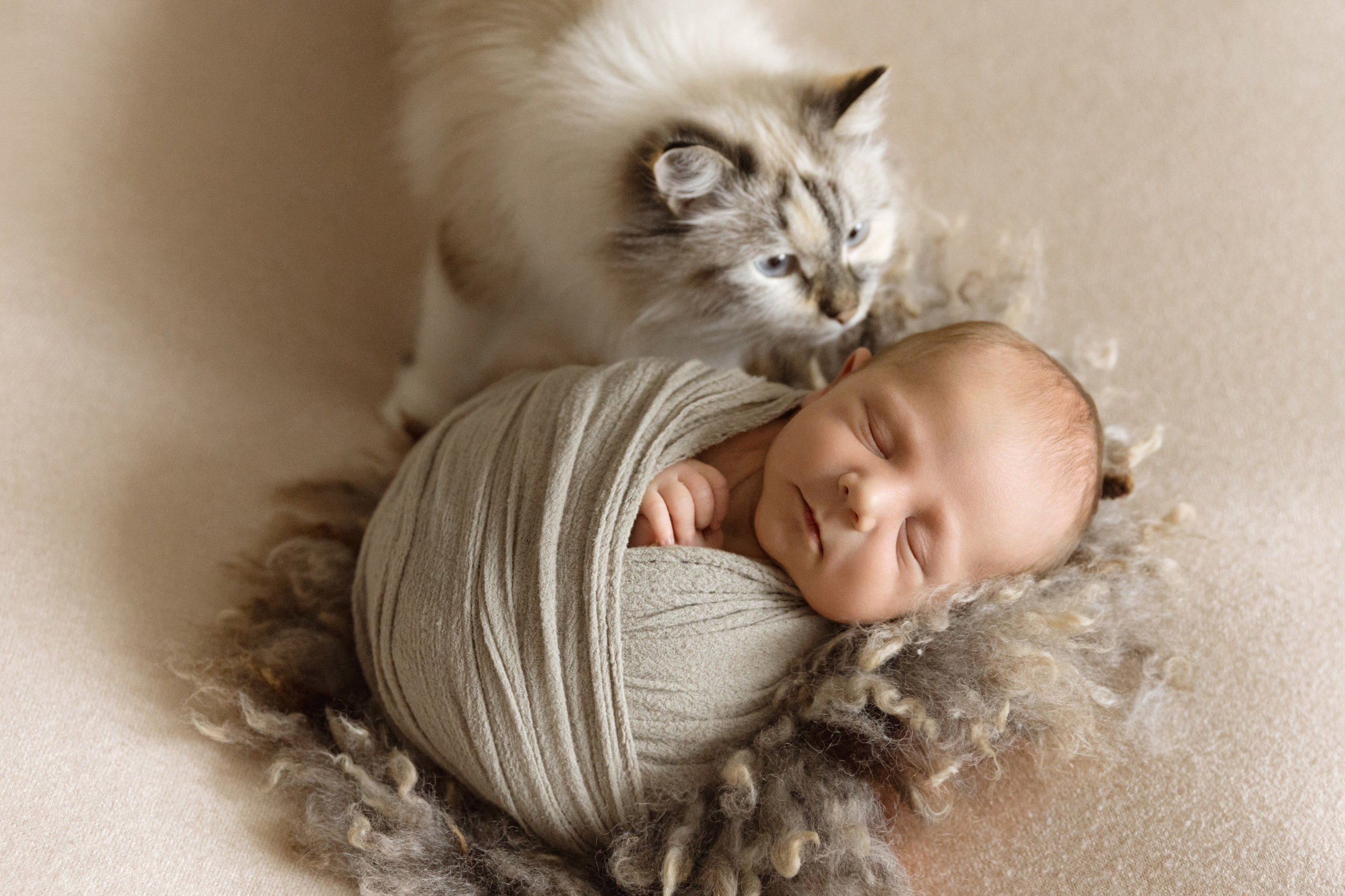 Фотосессия новорождённого на дому — Красноярск | Vetaphoto, с заботой о маме и малыше. Фотограф беременности и новорожденных в Красноярске Вета Ланская