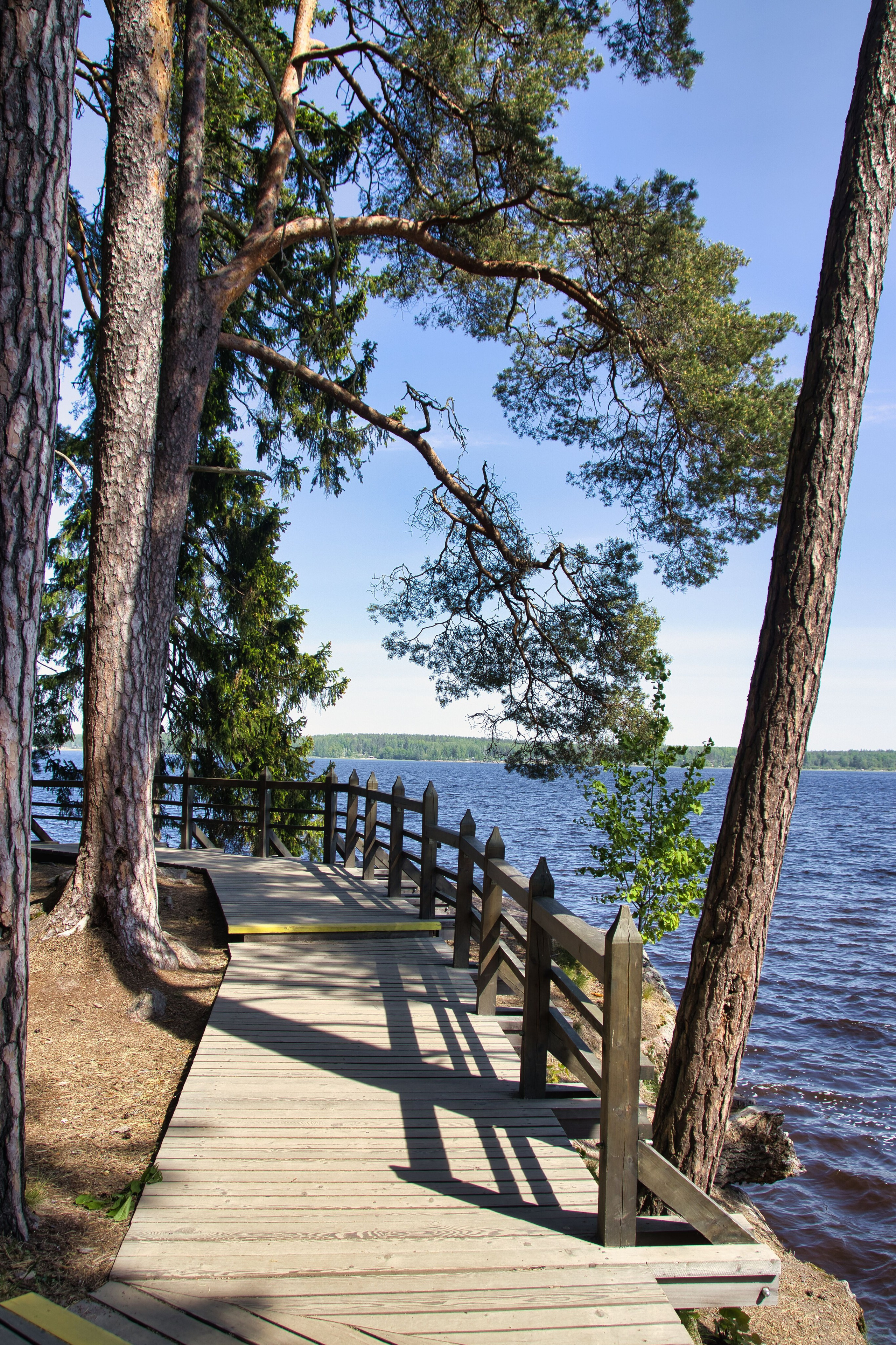 Фотограф в Санкт-Петербурге Георгий Елецких