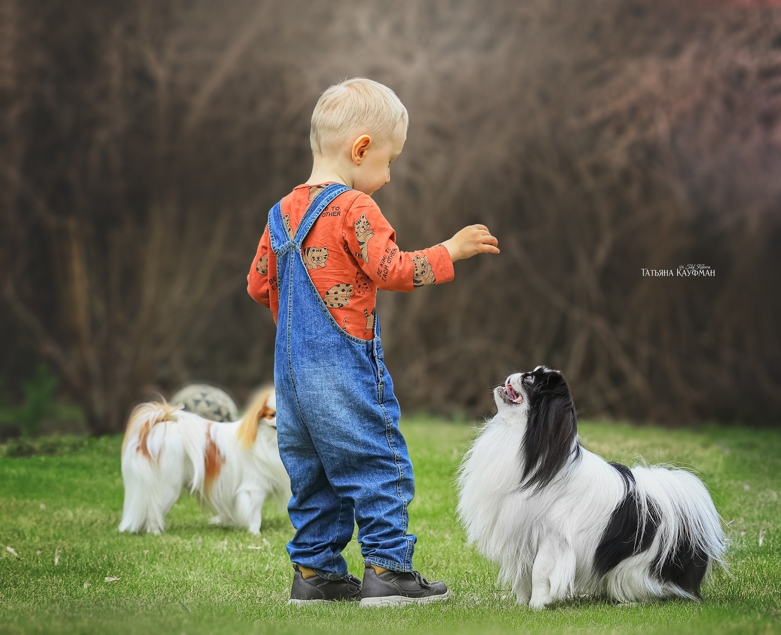 Японские хины и юный хиноман Егор Кауфман