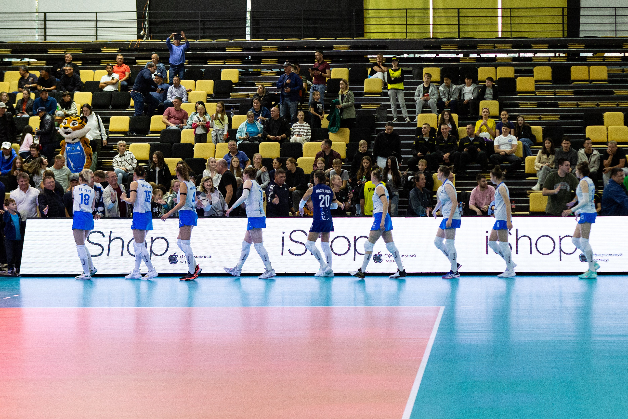 Один день из тура чемпионата России по волейболу. Кутузов Евгений Фотограф в Южно-Сахалинске