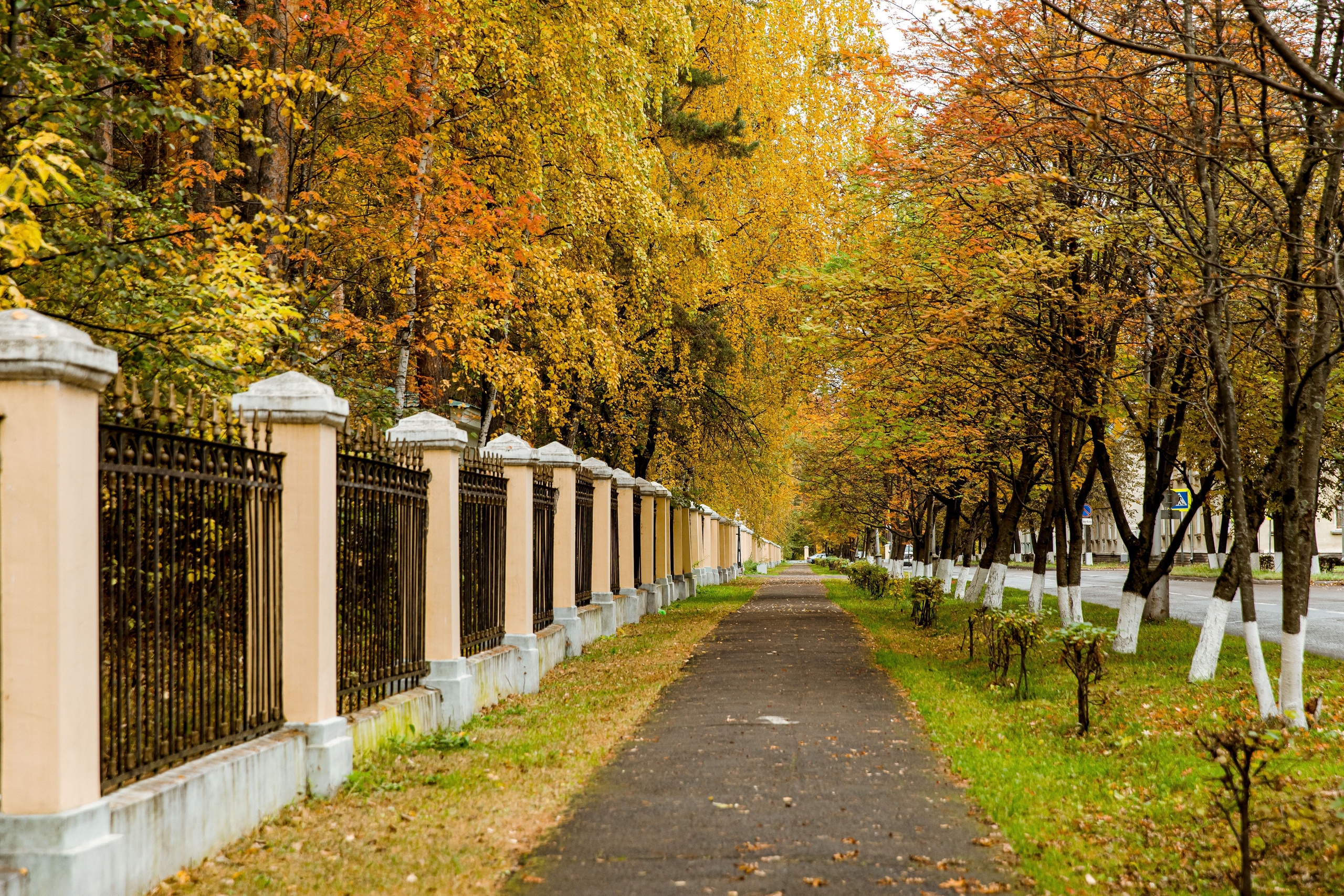 Осень в парке. Семейный и детский фотограф в Железногорске Саламахо Ольга