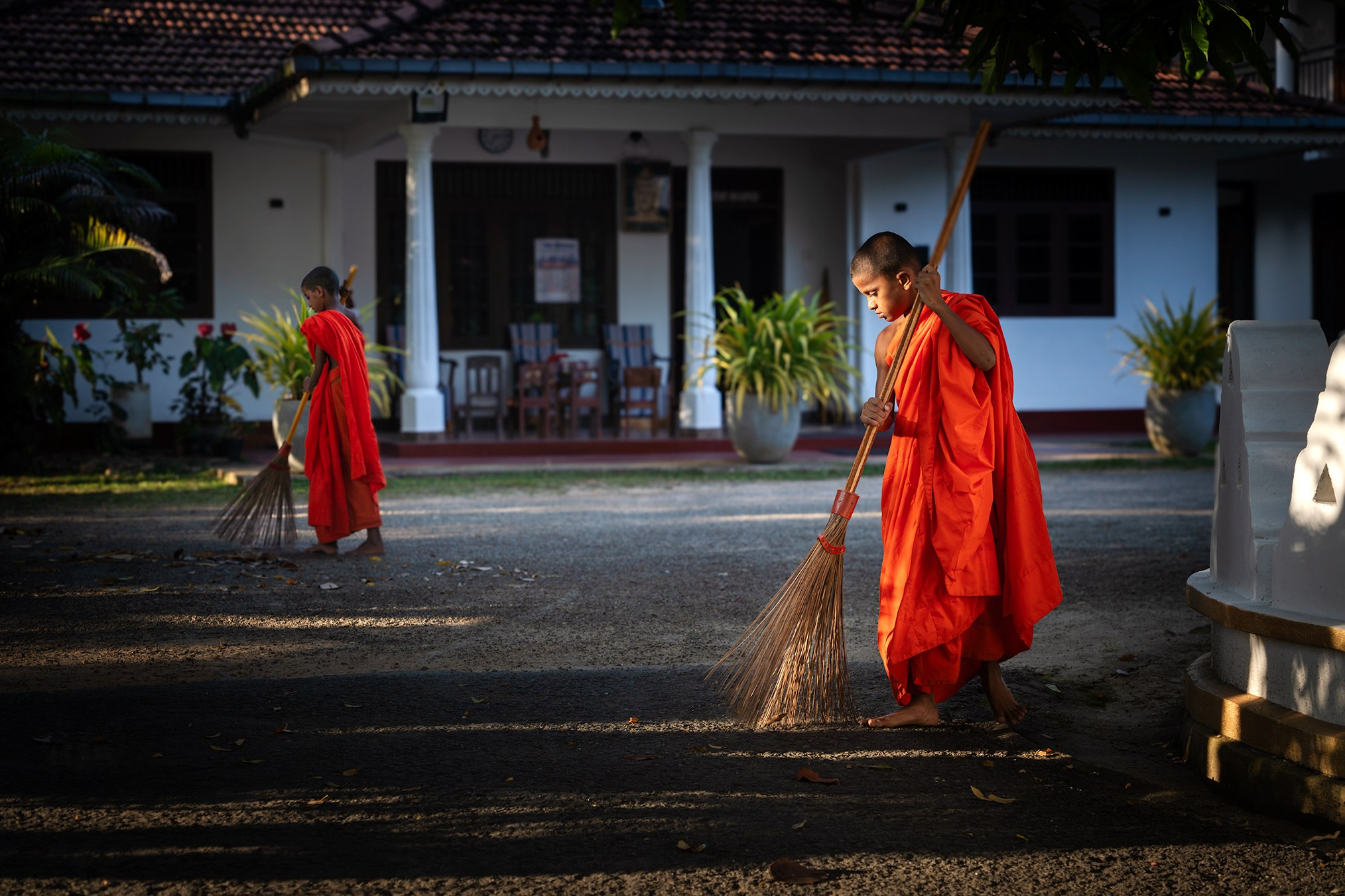 Sri-Lanka. High-quality interior photos for your home, office, hotel
