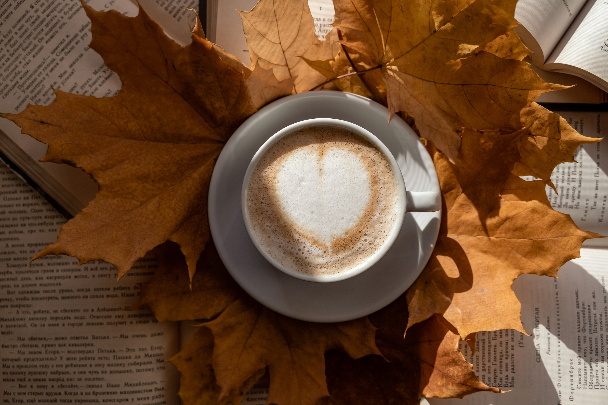Фуд-фото в Ижевске, Воткинске, Чайковском, Сарапуле. Фото и видео для бизнеса, репортажная и свадебная съемка|Александр Кузнецов|Ижевск, Воткинск