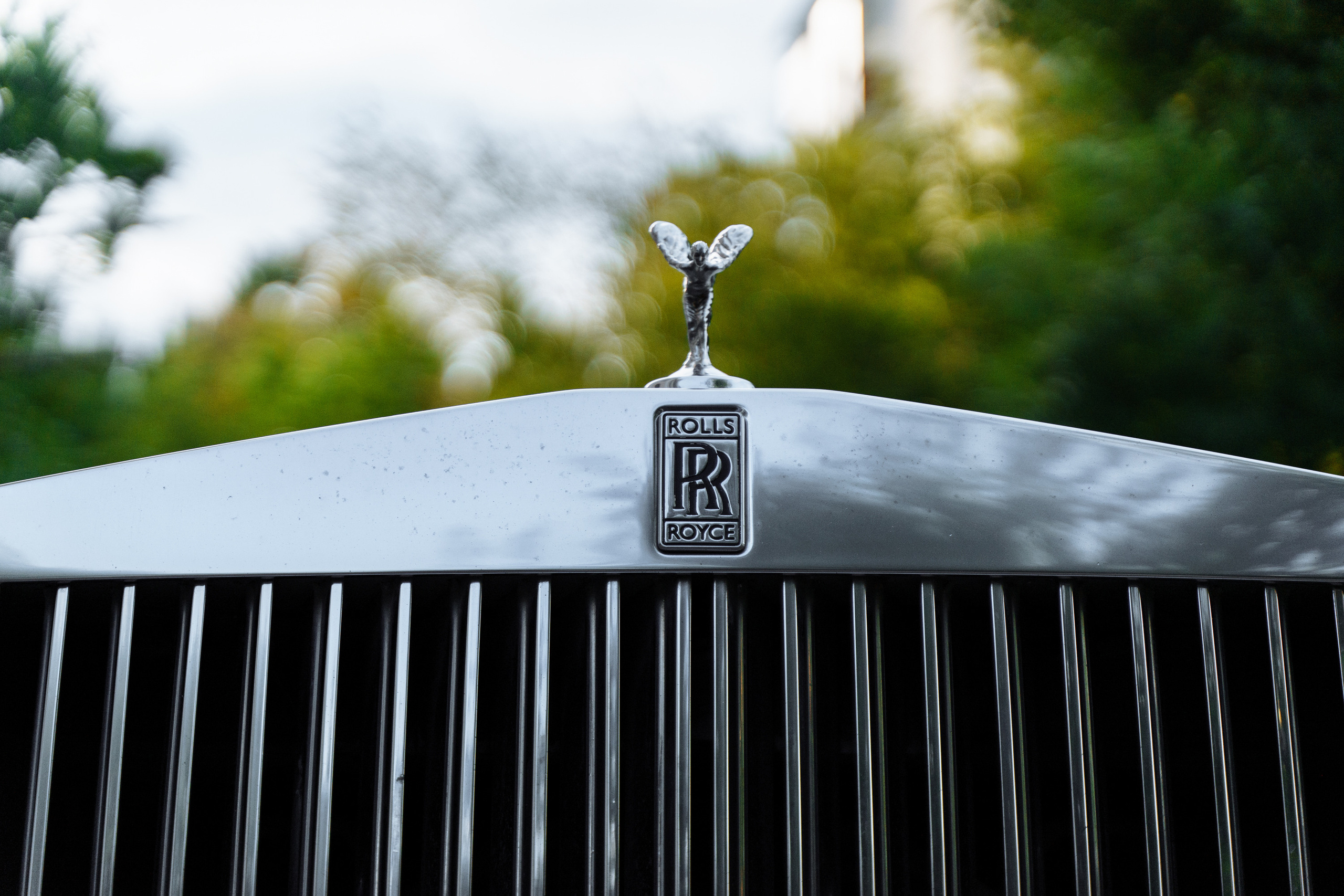 Диана и Давид. Сергей Христолюбов | Фотограф Москва