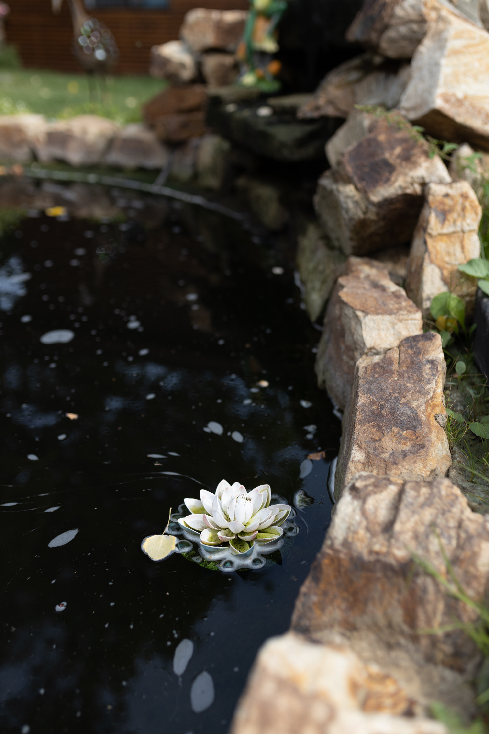 Диана и Давид. Сергей Христолюбов | Фотограф Москва