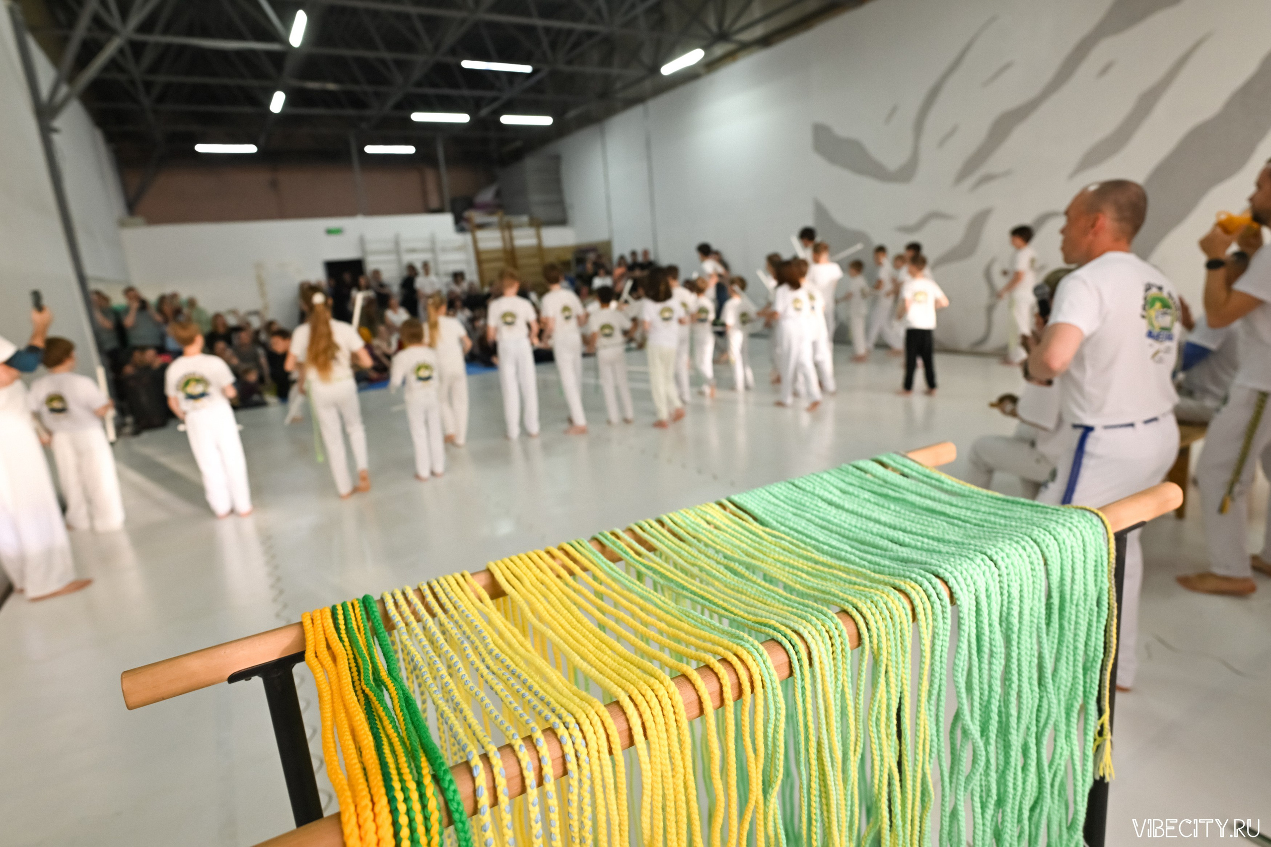 Capoeira: 4-е batizado e Troca de cordao. VIBECITY.RU Вайб Сити Ру Фоторепортажи Фотоотчеты Калининград