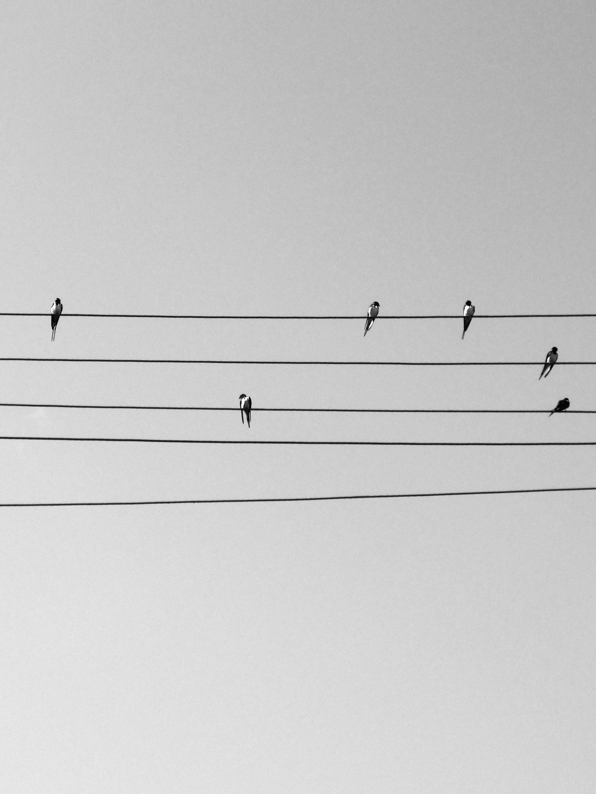 Принты. Марина Горбатова. Фотограф