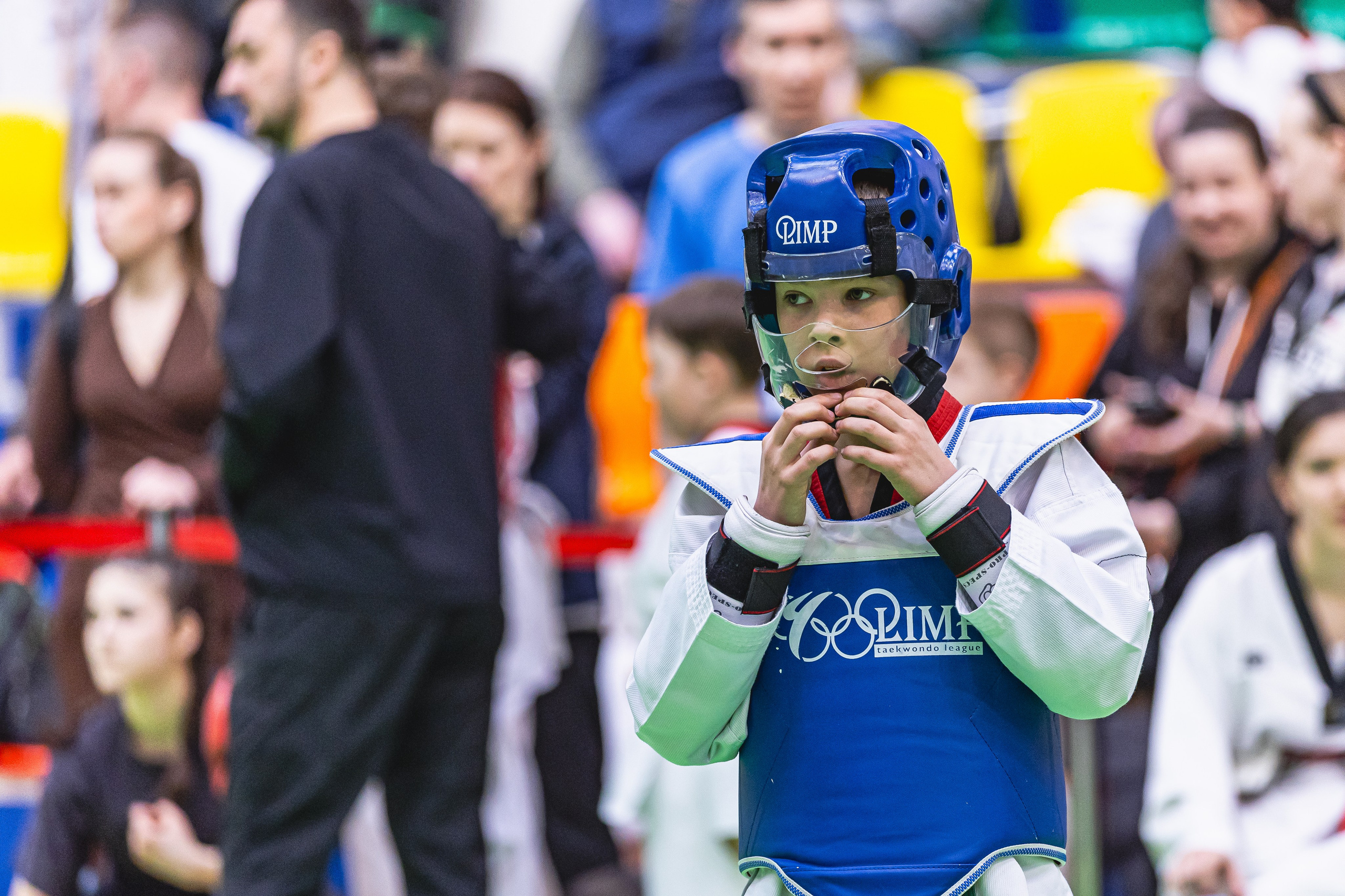 Турнир ВДЮФСОО «ФЕДЕРАЦИЯ ДЕТСКОГО ТХЭКВОНДО РОССИИ» и МОО СПКЕ «ЭРИДАН» по «СПОРТИВНОМУ БОЮ КЕРУГИ». Спортивный фотограф Максим Серегин