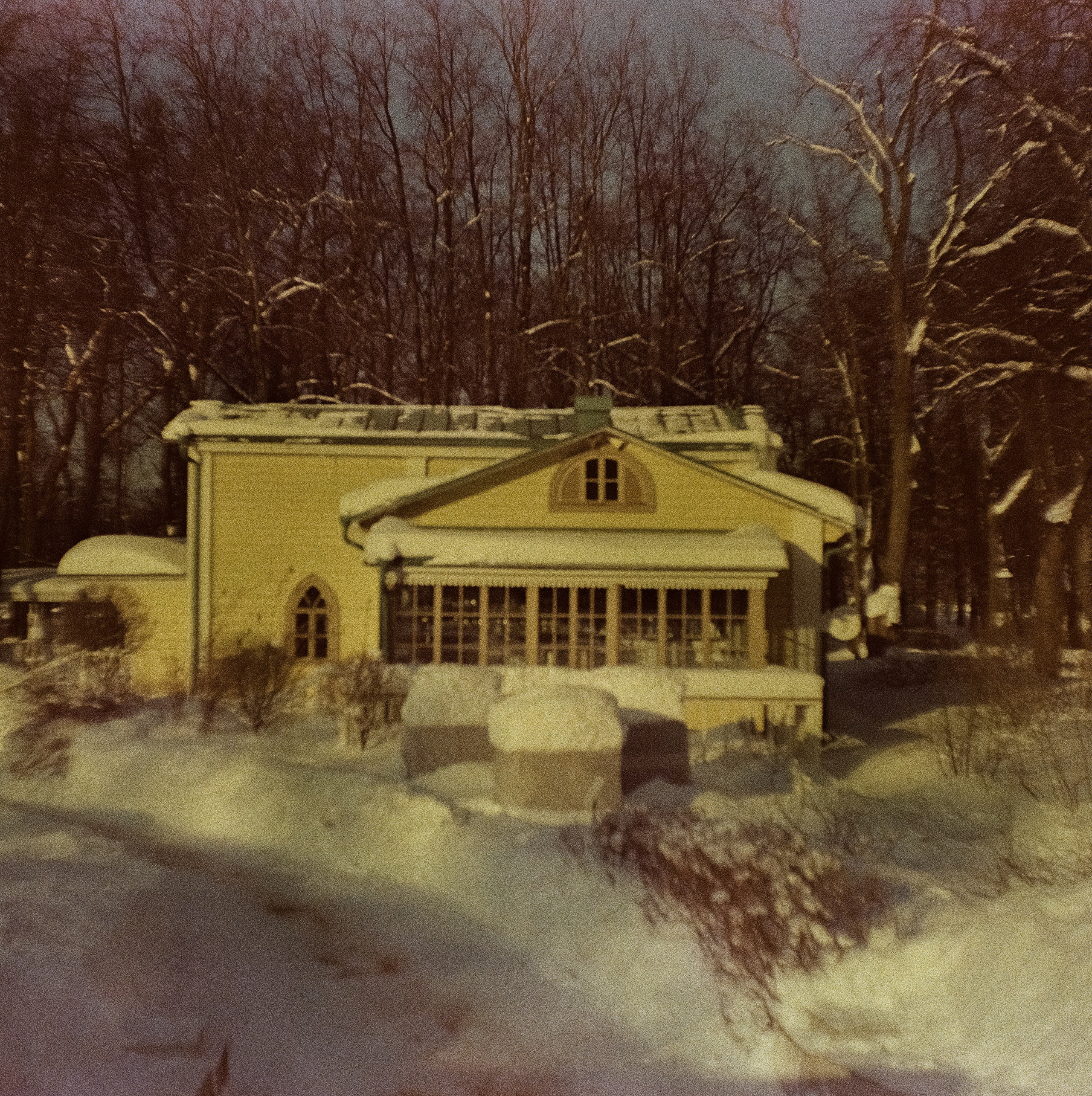 Kodak Ektachrome 64T / Franka Solida III / Архангельское, Лукино