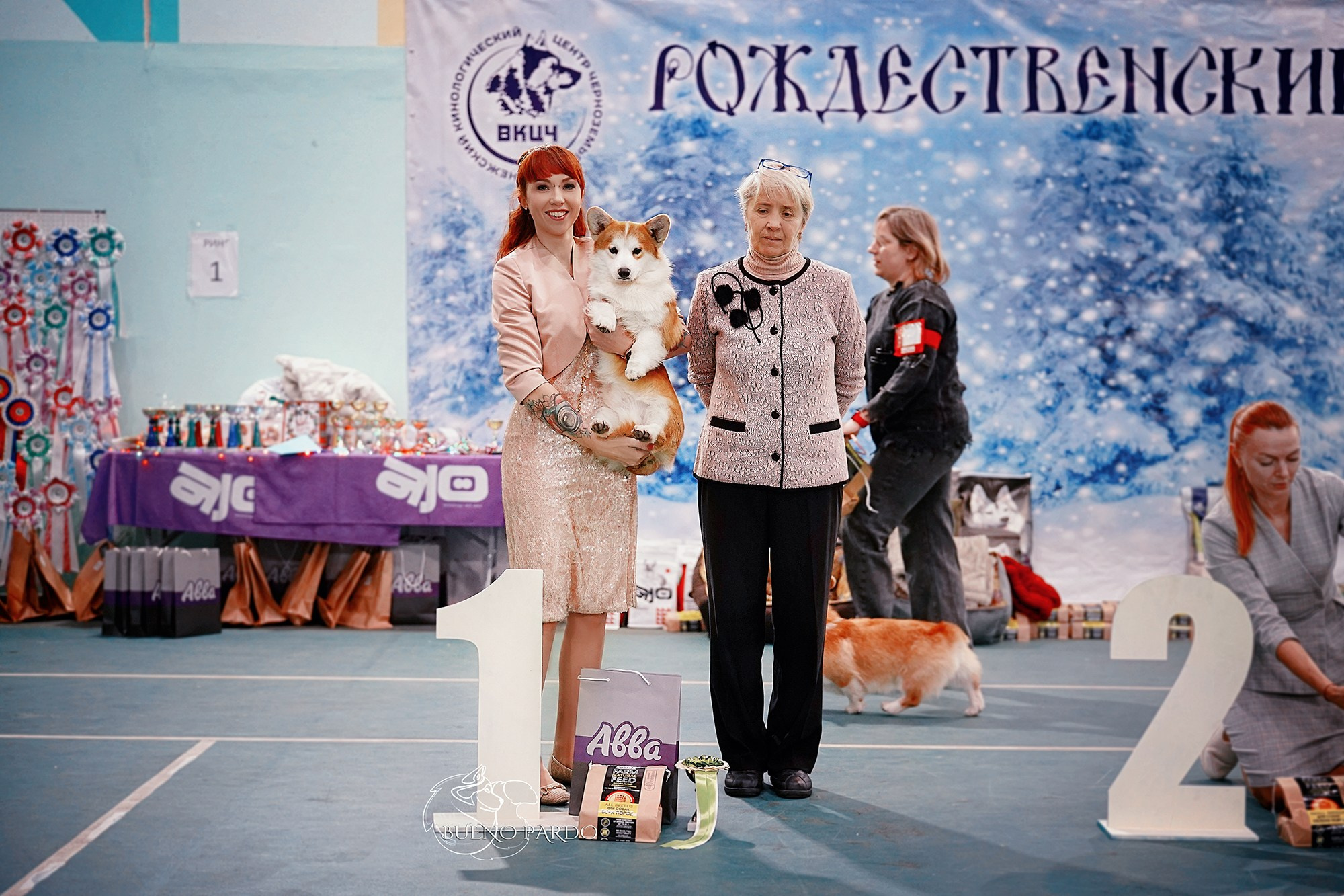 КОРГИ. Kawaii Kuma питомник собак пород Корги пемброк, Акита ину, Сиба