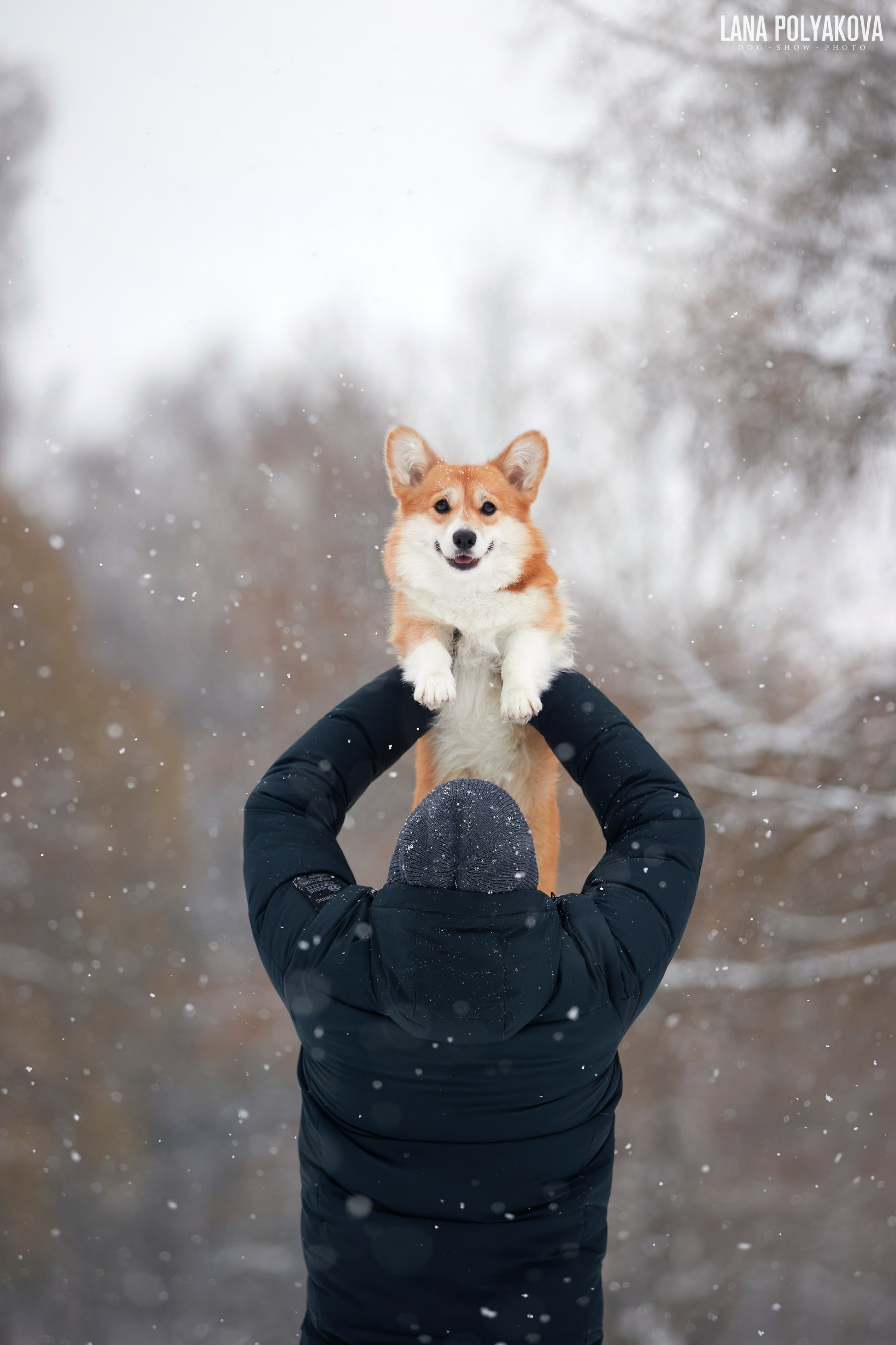 ISO 1250, 70-200mm (155), f3,2, 1/1000