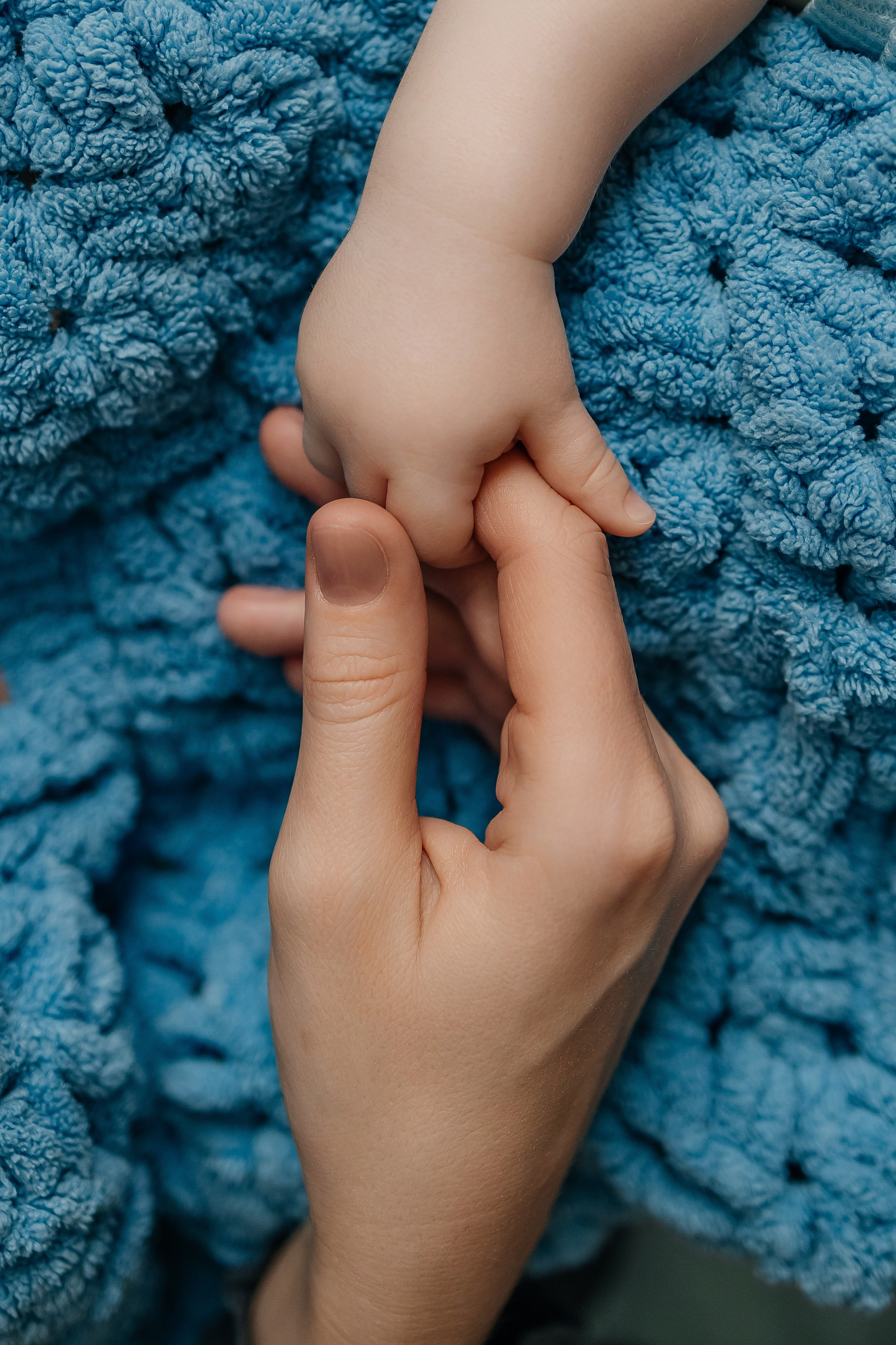 Главная страница