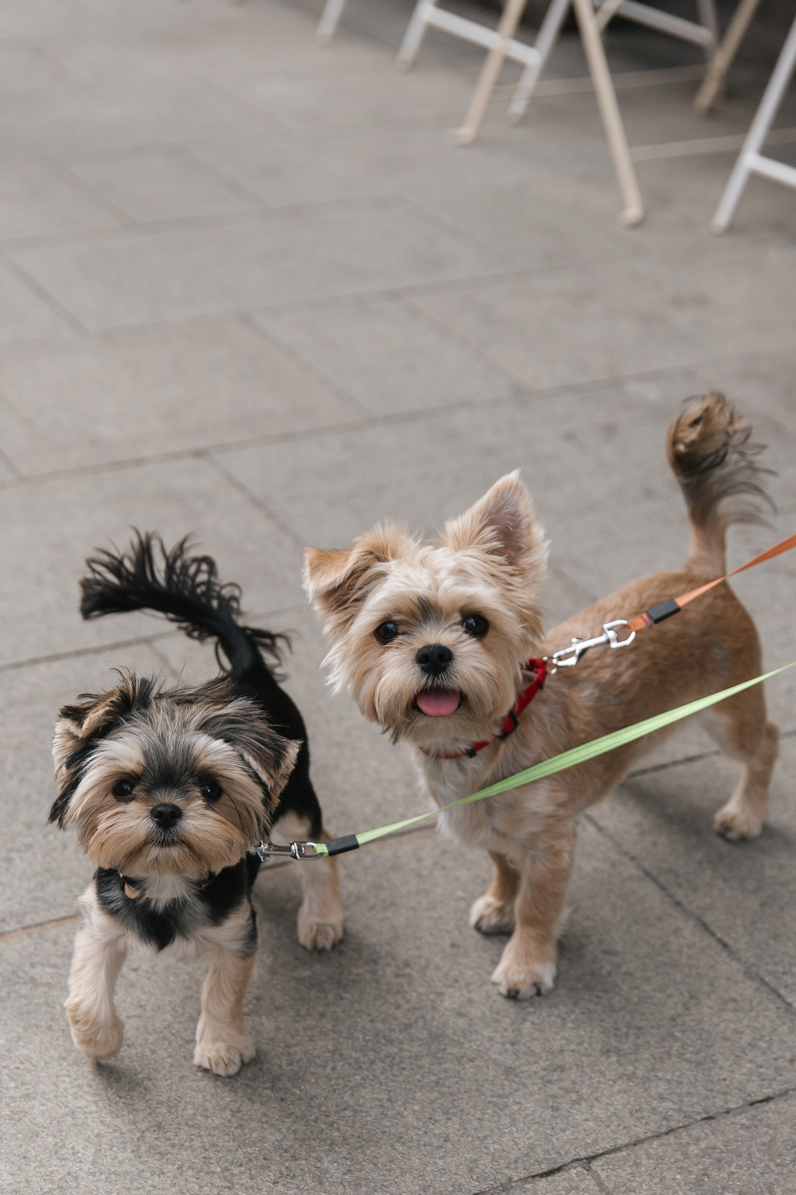 Регистрация брака в Грибоедовском ЗАГСе. Фотограф и видеограф Анна Домашенко