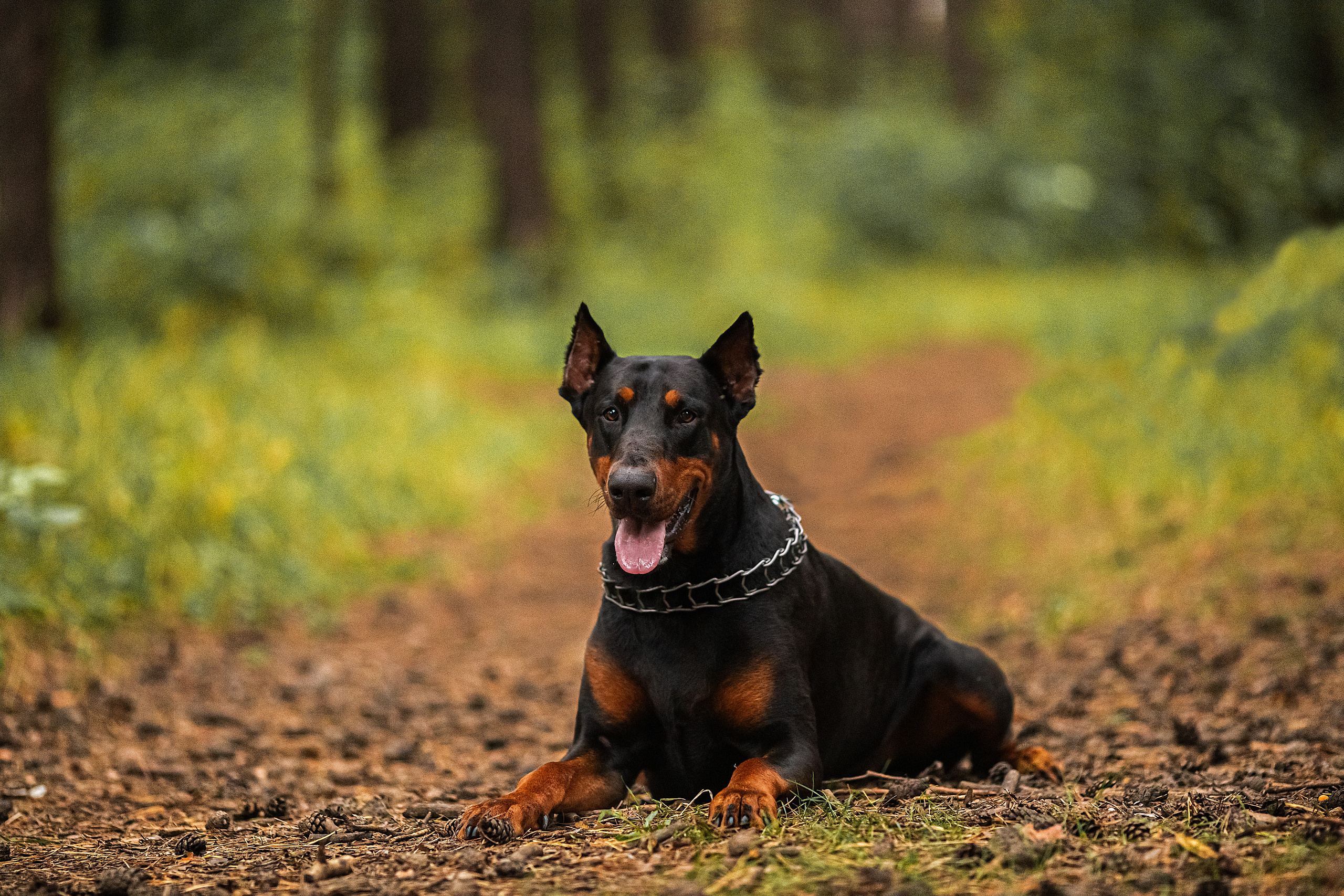 Прекрасная София. Самохвалова мария фотограф в тулуне и иркутской области