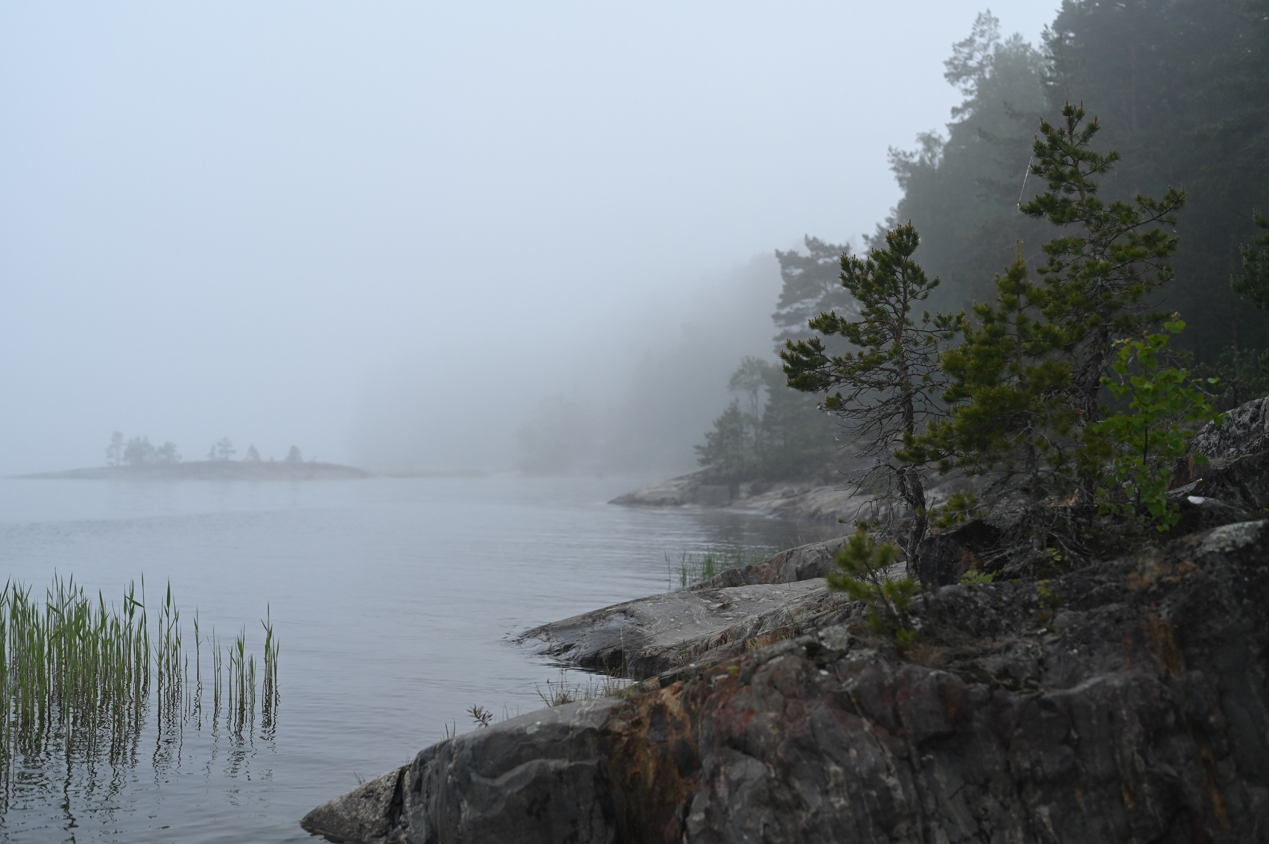 Photographer Yulia Lushnikova, Based in Valencia